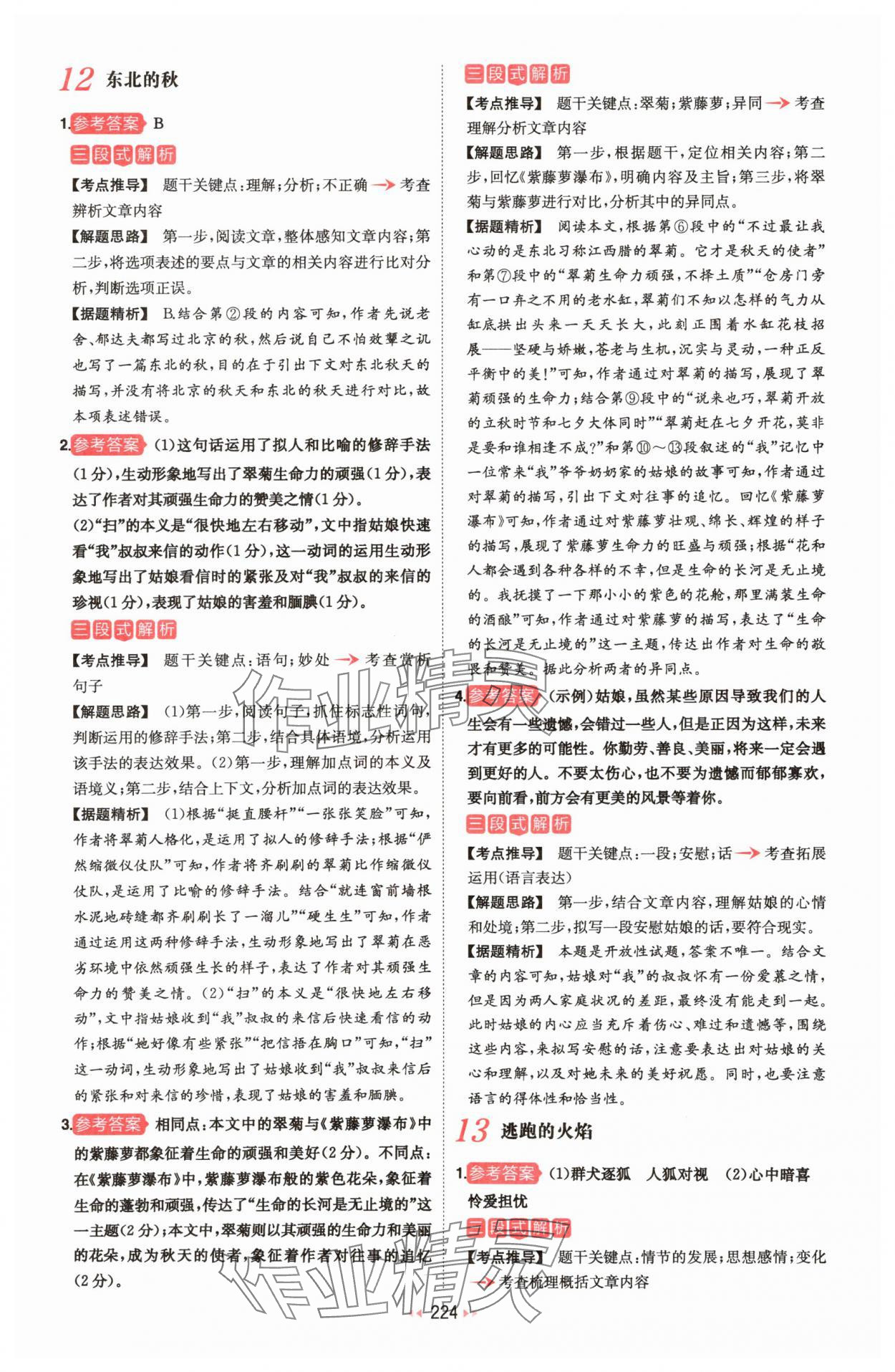 2025年一本八年级现代文阅读技能训练100篇 第14页