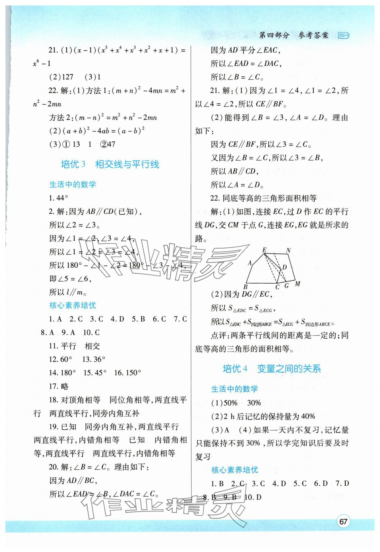 2024年暑假作业与生活陕西师范大学出版总社有限公司七年级数学北师大版 参考答案第2页