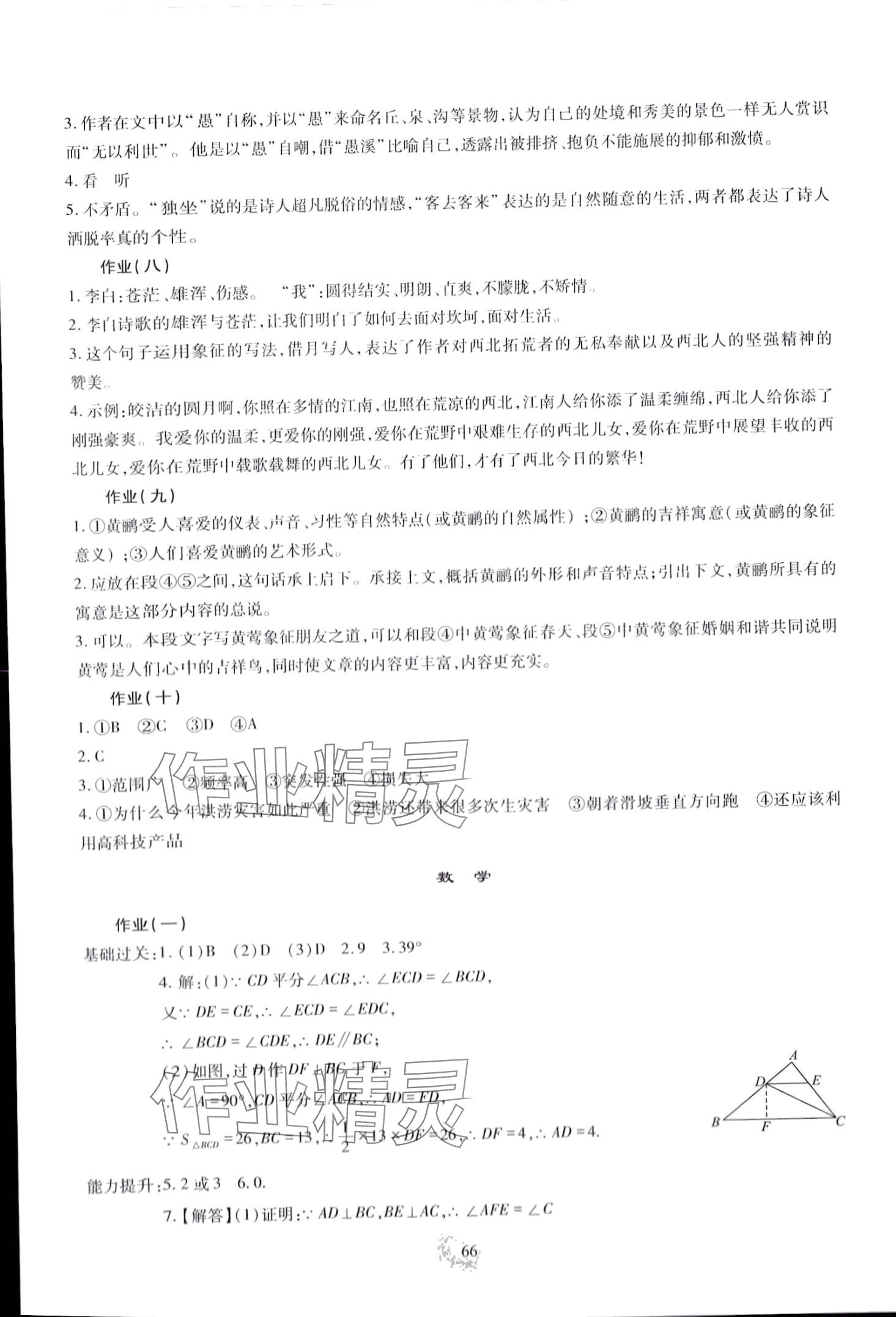 2024年新課程實踐與探究叢書寒假生活八年級 第3頁