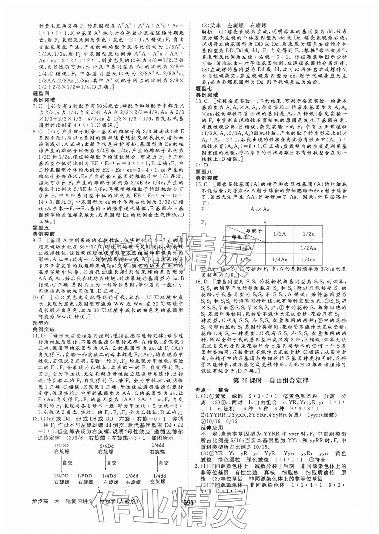 2025年步步高大一輪復(fù)習講義生物人教版 第18頁