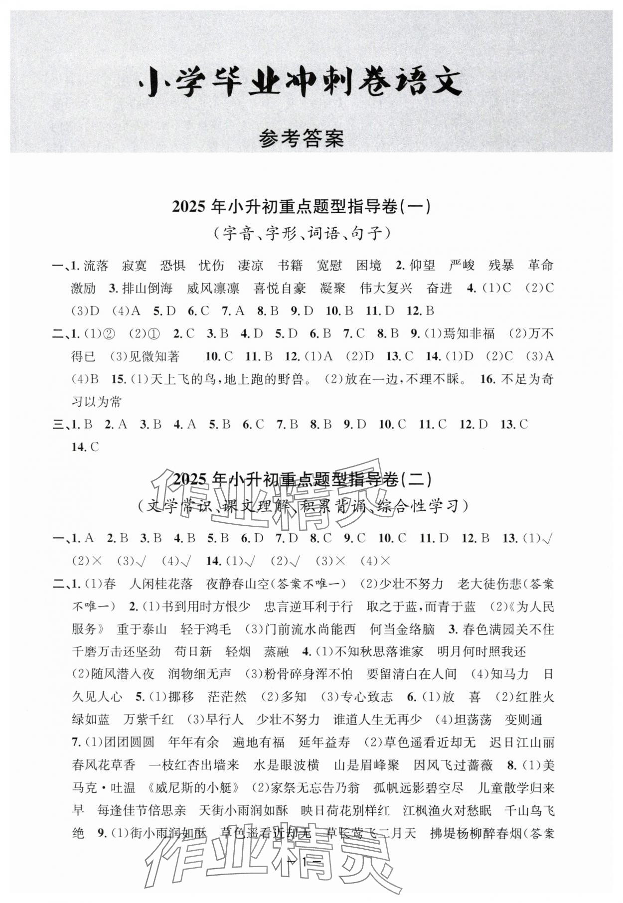 2025年小学毕业冲刺卷语文 参考答案第1页