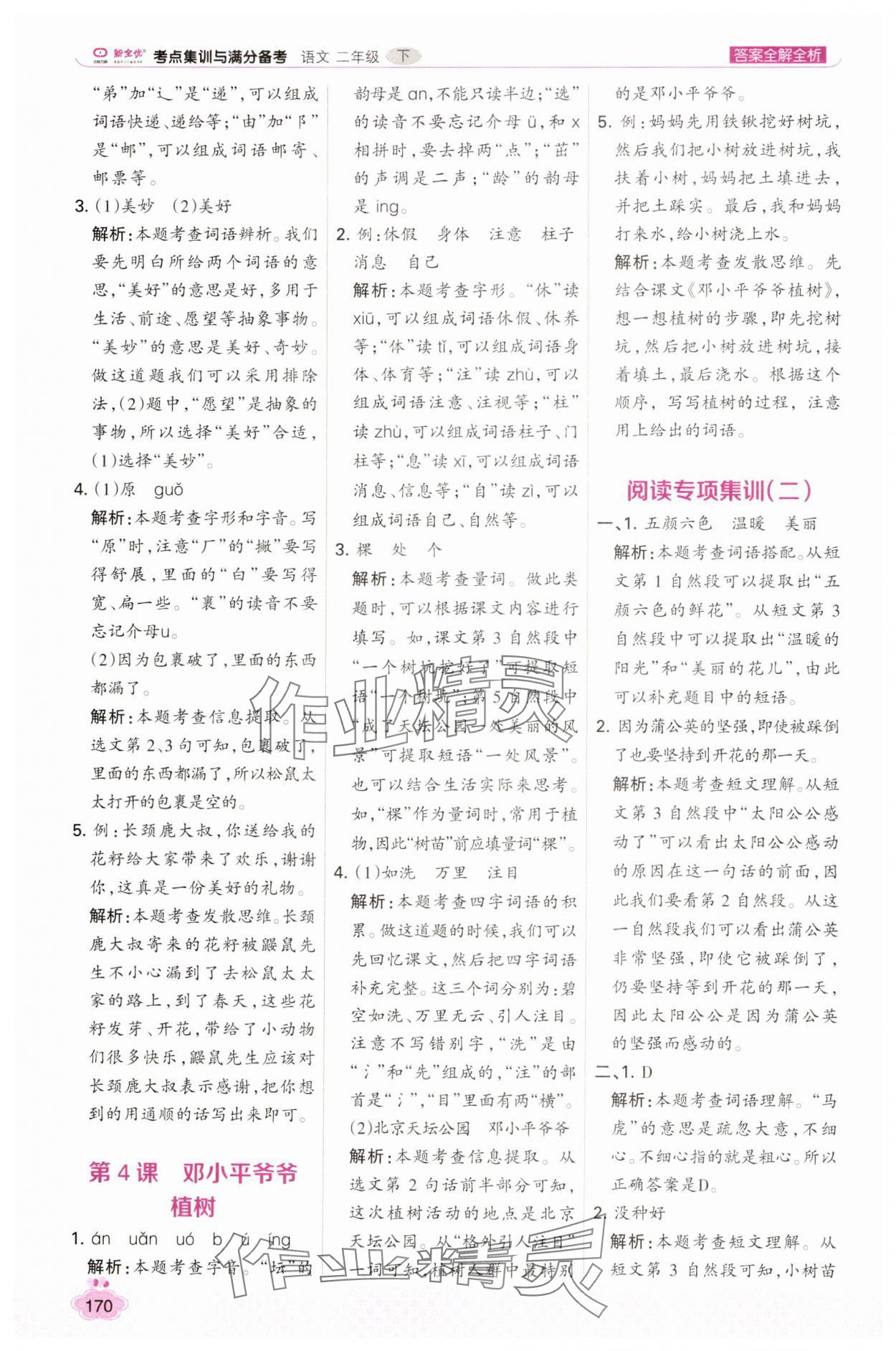 2025年考点集训与满分备考二年级语文下册人教版 第2页