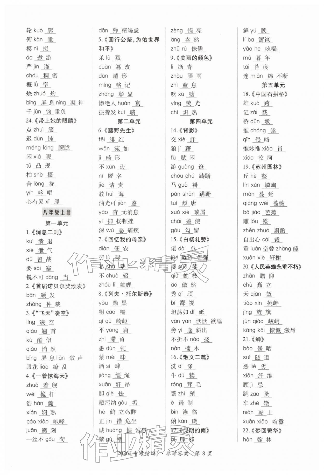 2026年中考精編語文廣東經(jīng)濟出版社&nbsp;第8頁