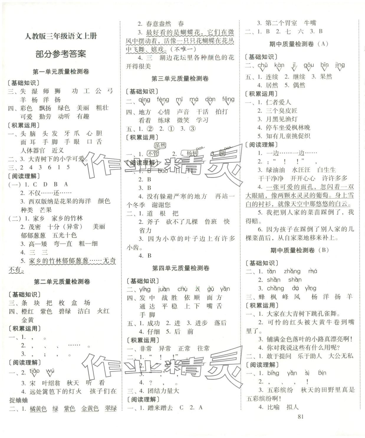 2025年云南师大附小一线名师核心试卷三年级语文上册人教版 第1页