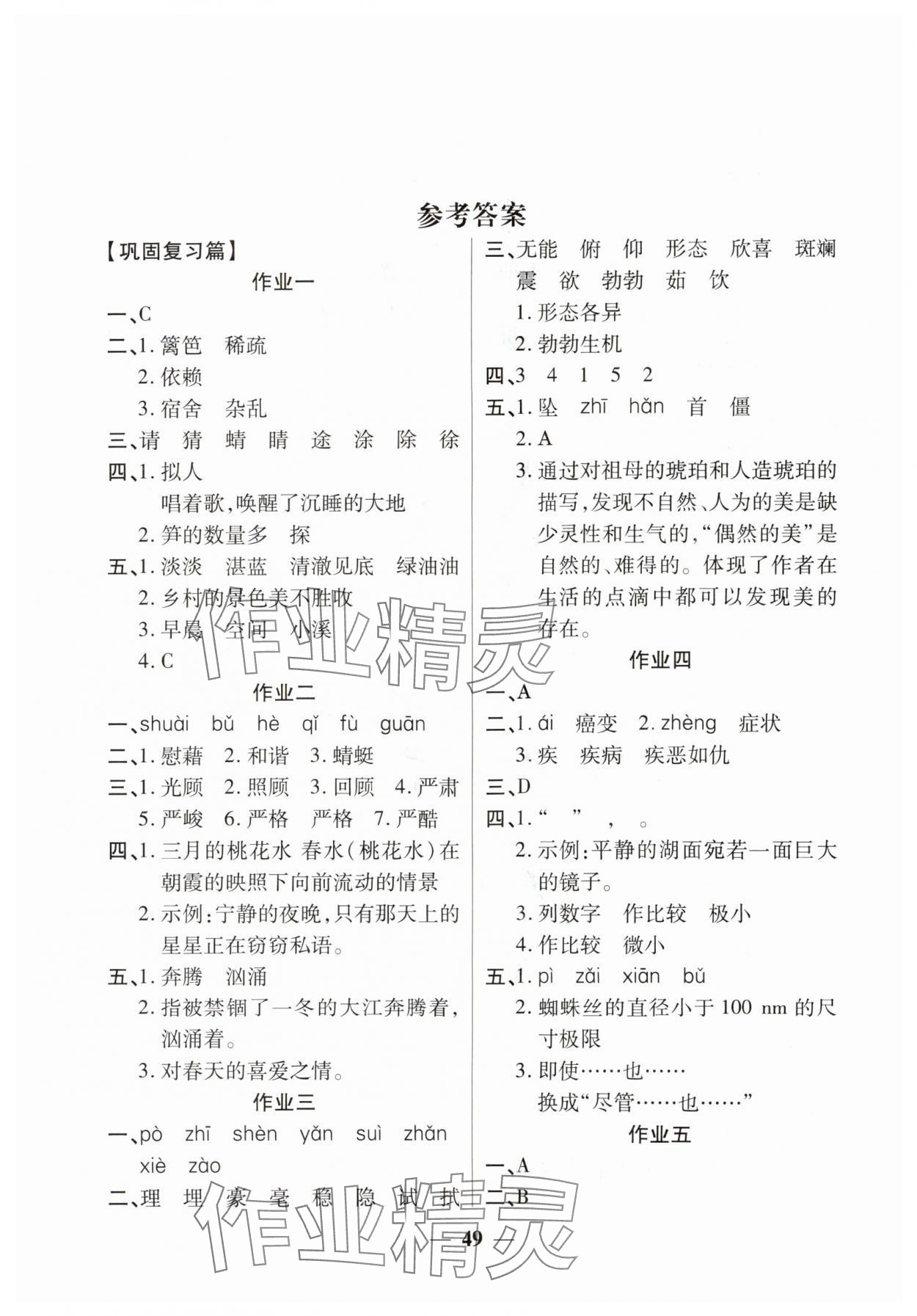 2025年金峰教育暑假作业假期计划四年级语文人教版 第1页