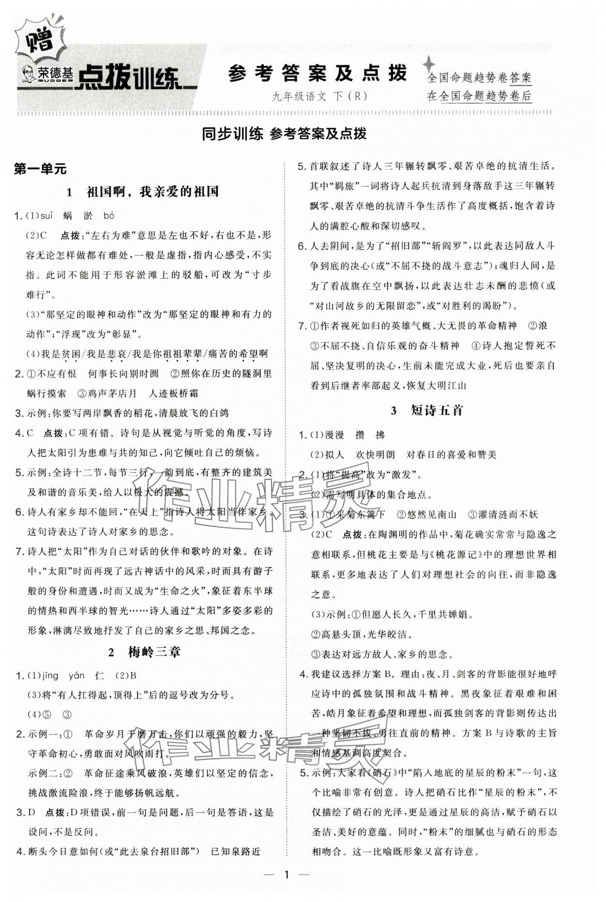 2025年點撥訓(xùn)練九年級語文下冊人教版 第1頁