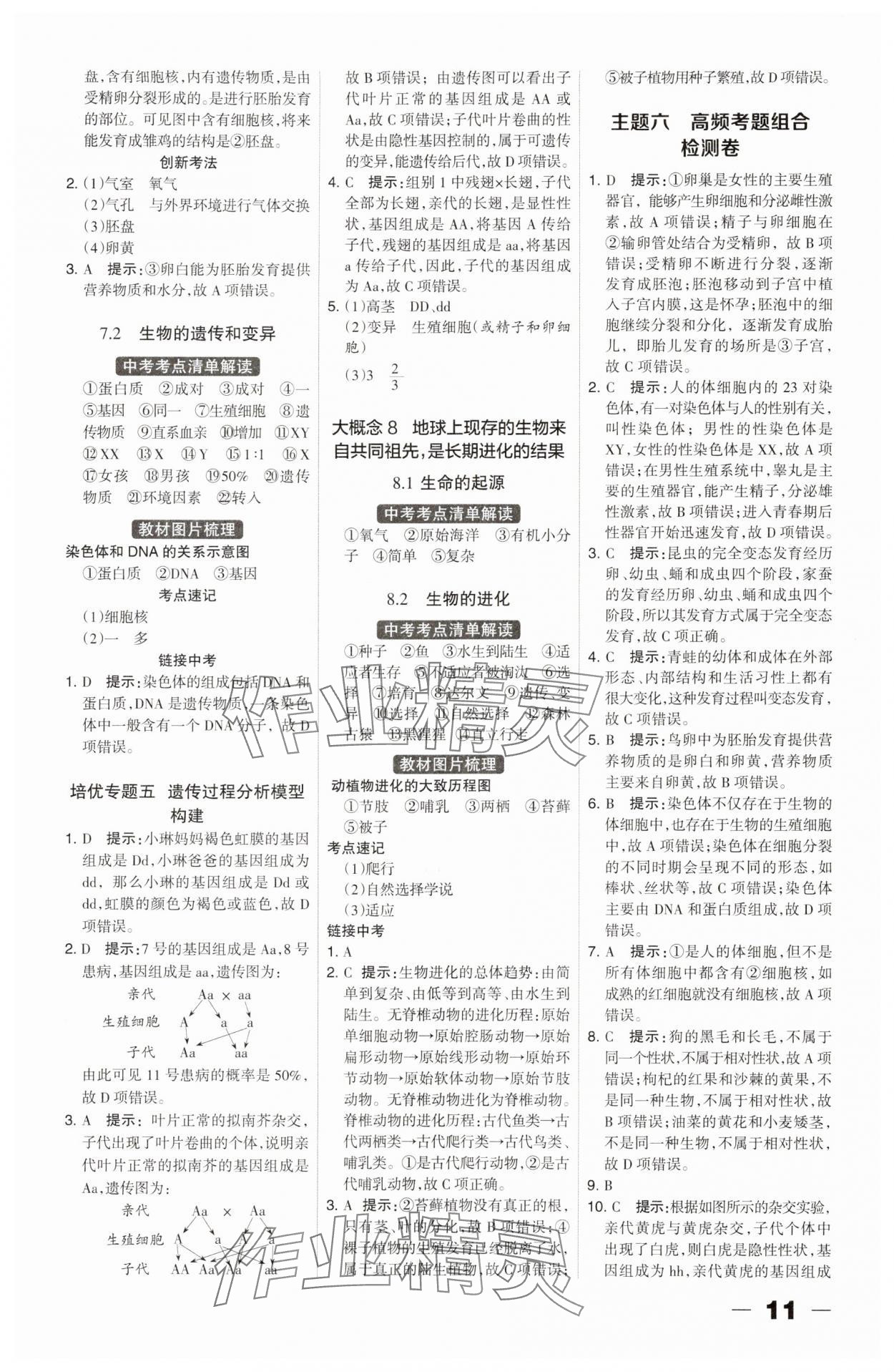 2025年河北中考总动员生物&nbsp;参考答案第11页