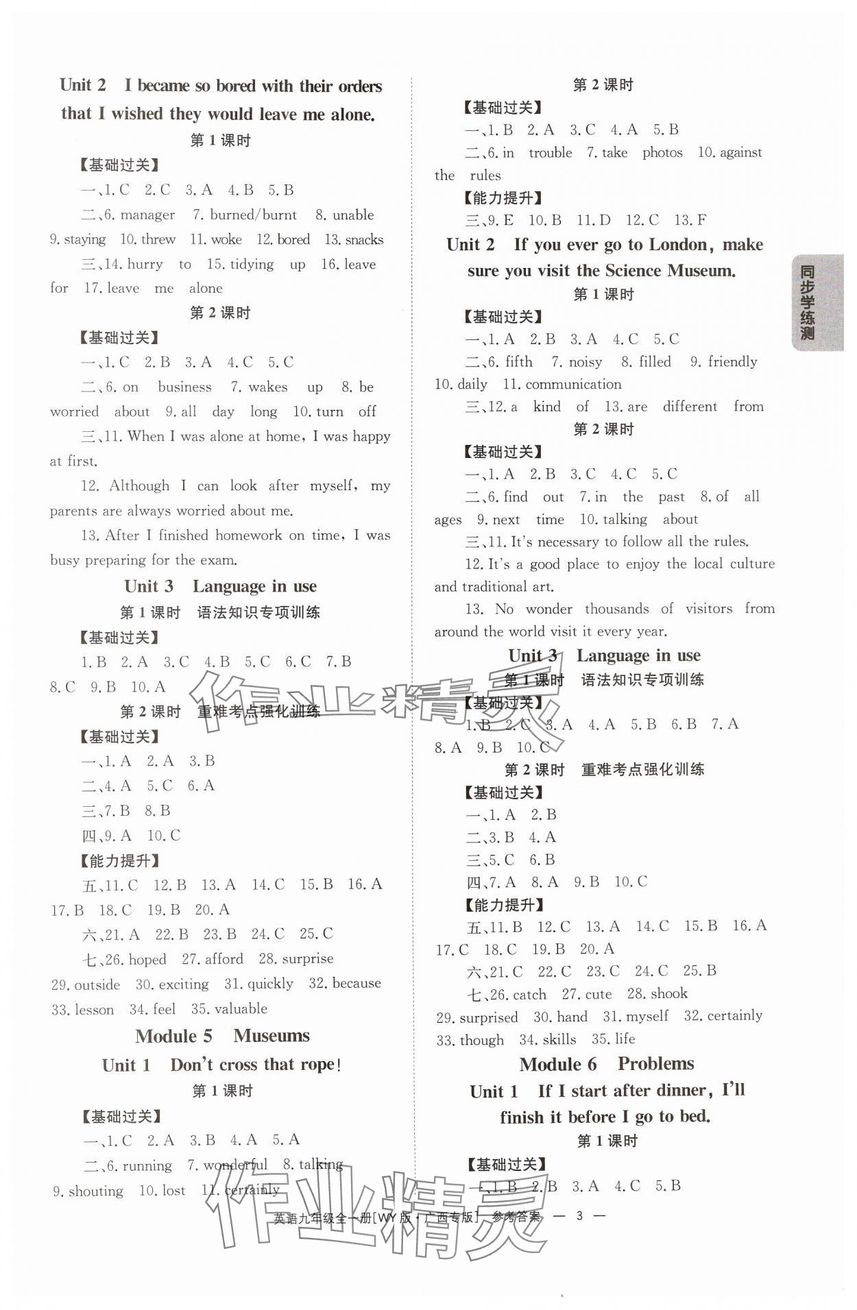 2024年全效學(xué)習(xí)同步學(xué)練測九年級英語全一冊外研版廣西專版 第3頁