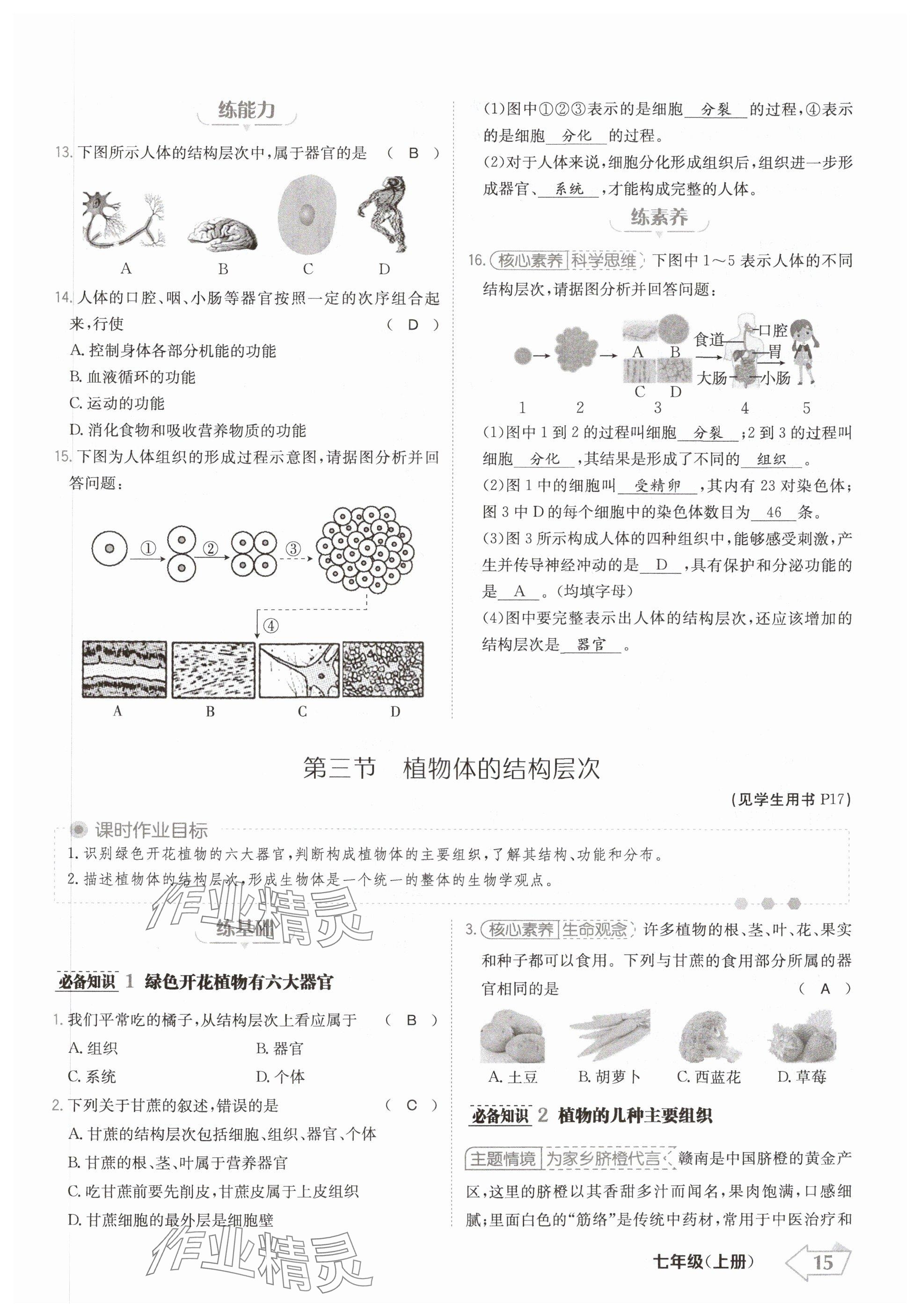 2024年金牌學練測七年級生物上冊人教版 參考答案第15頁