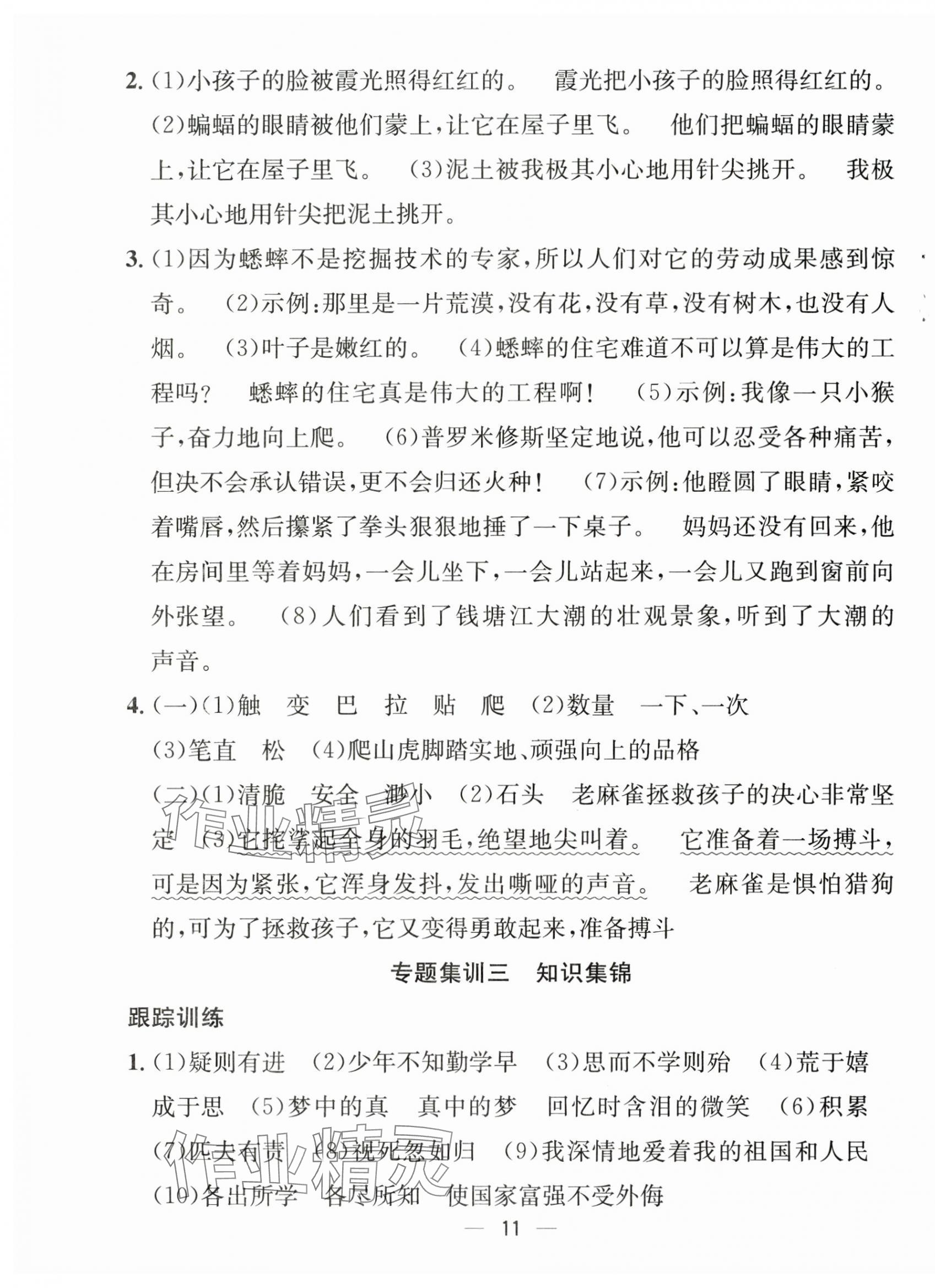 2025年暑假集训四年级语文人教版合肥工业大学出版社 第3页