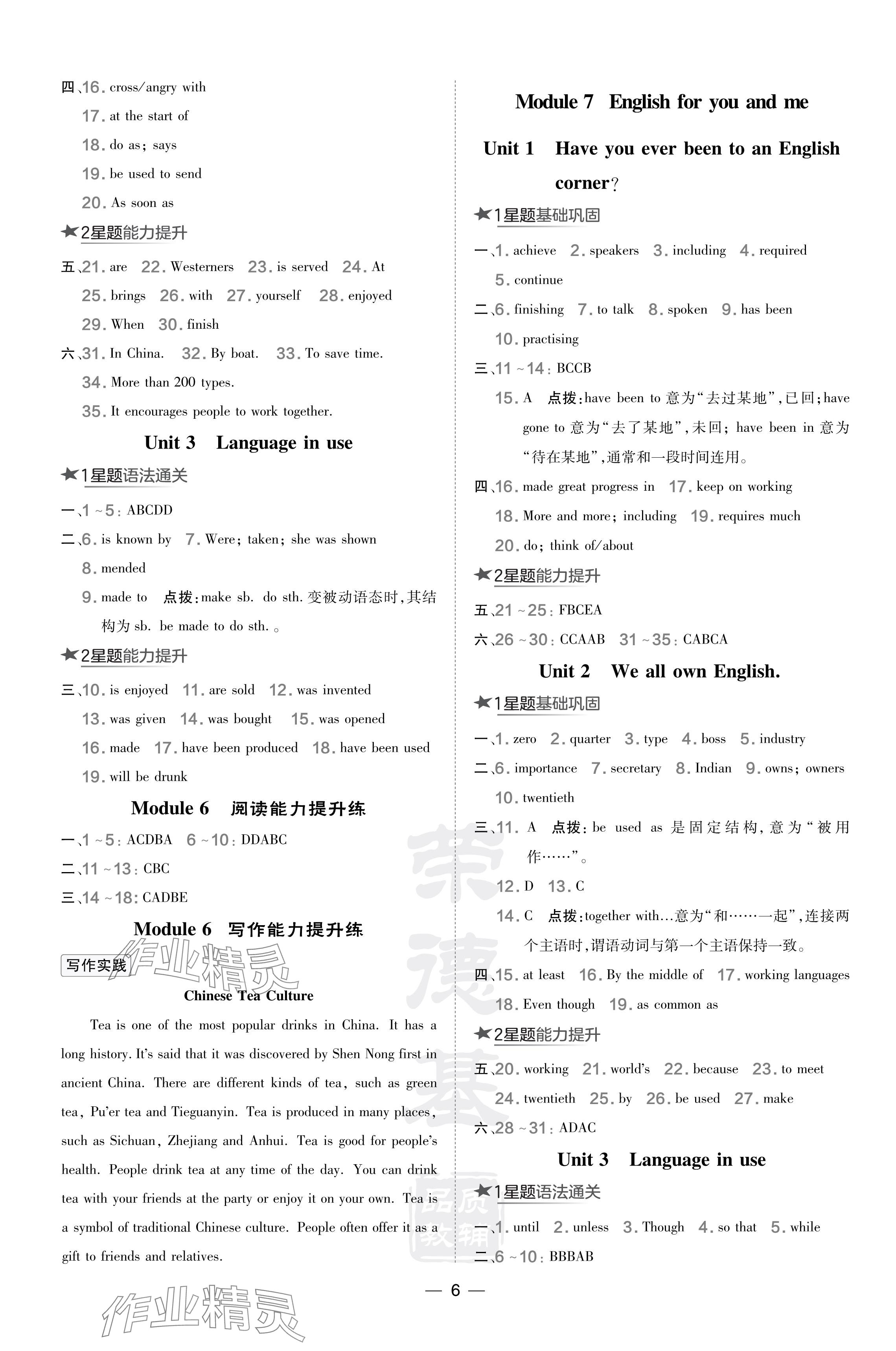 2024年点拨训练九年级英语下册外研版 参考答案第6页