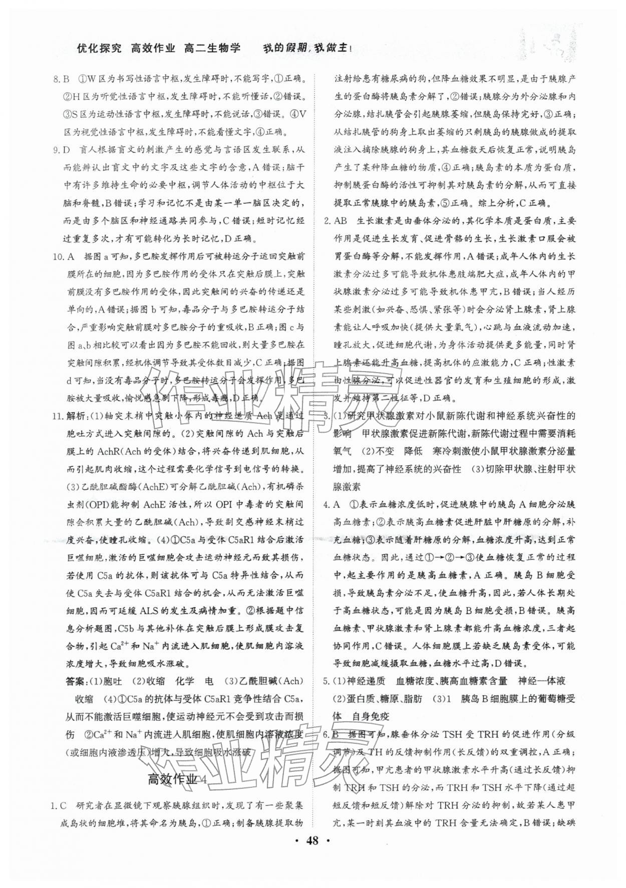 2026年優(yōu)化探究高效作業(yè)高二生物&nbsp;參考答案第2頁