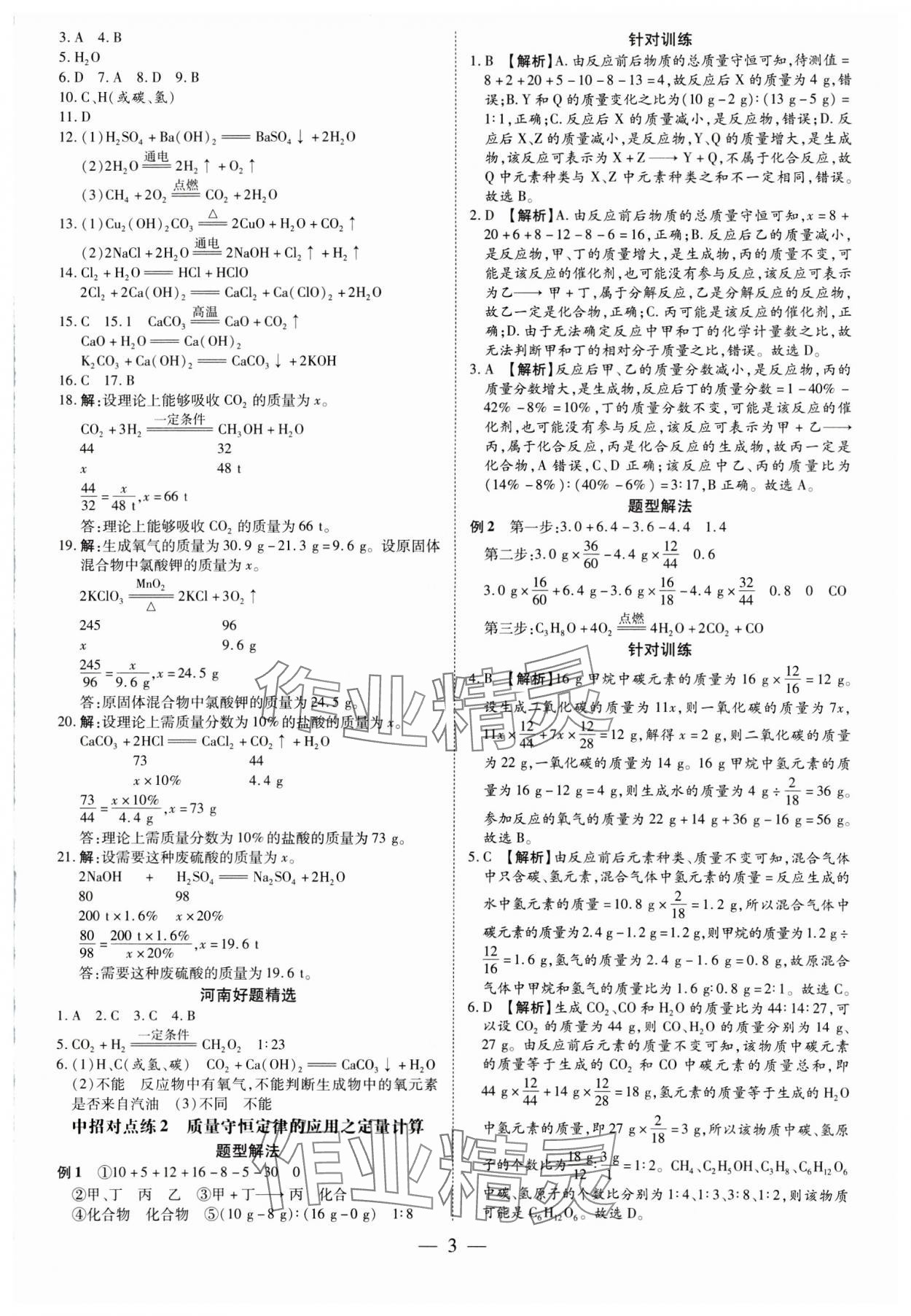 2025年领跑中考化学河南专版 第3页