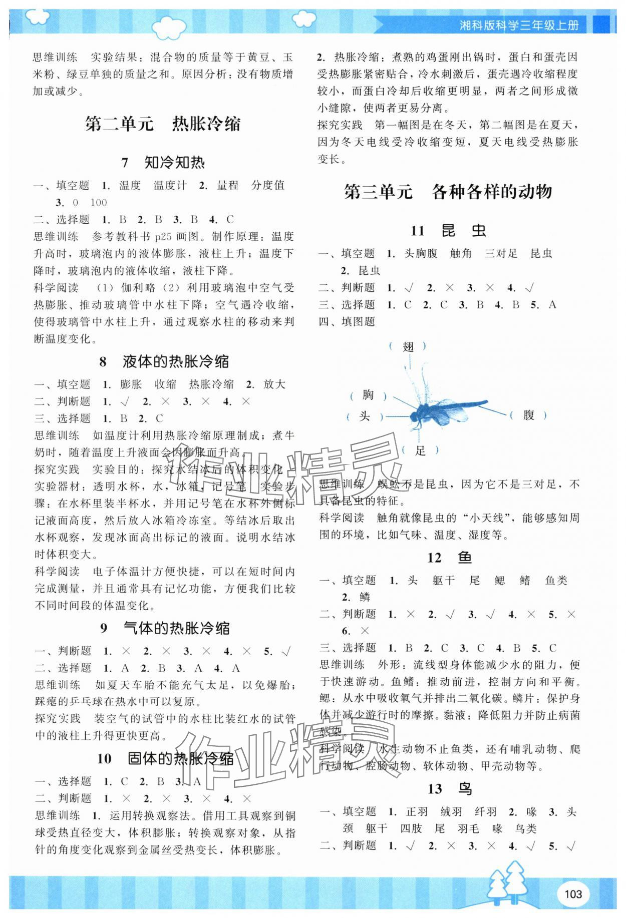 2025年同步实践评价课程基础训练湖南少年儿童出版社三年级科学上册湘科版 参考答案第2页