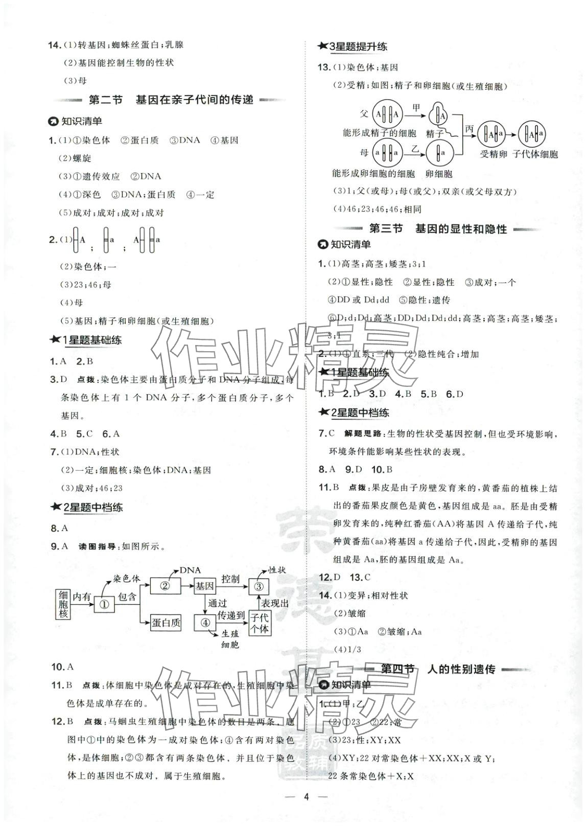 2025年點(diǎn)撥訓(xùn)練八年級(jí)生物下冊(cè)人教版&nbsp;第4頁