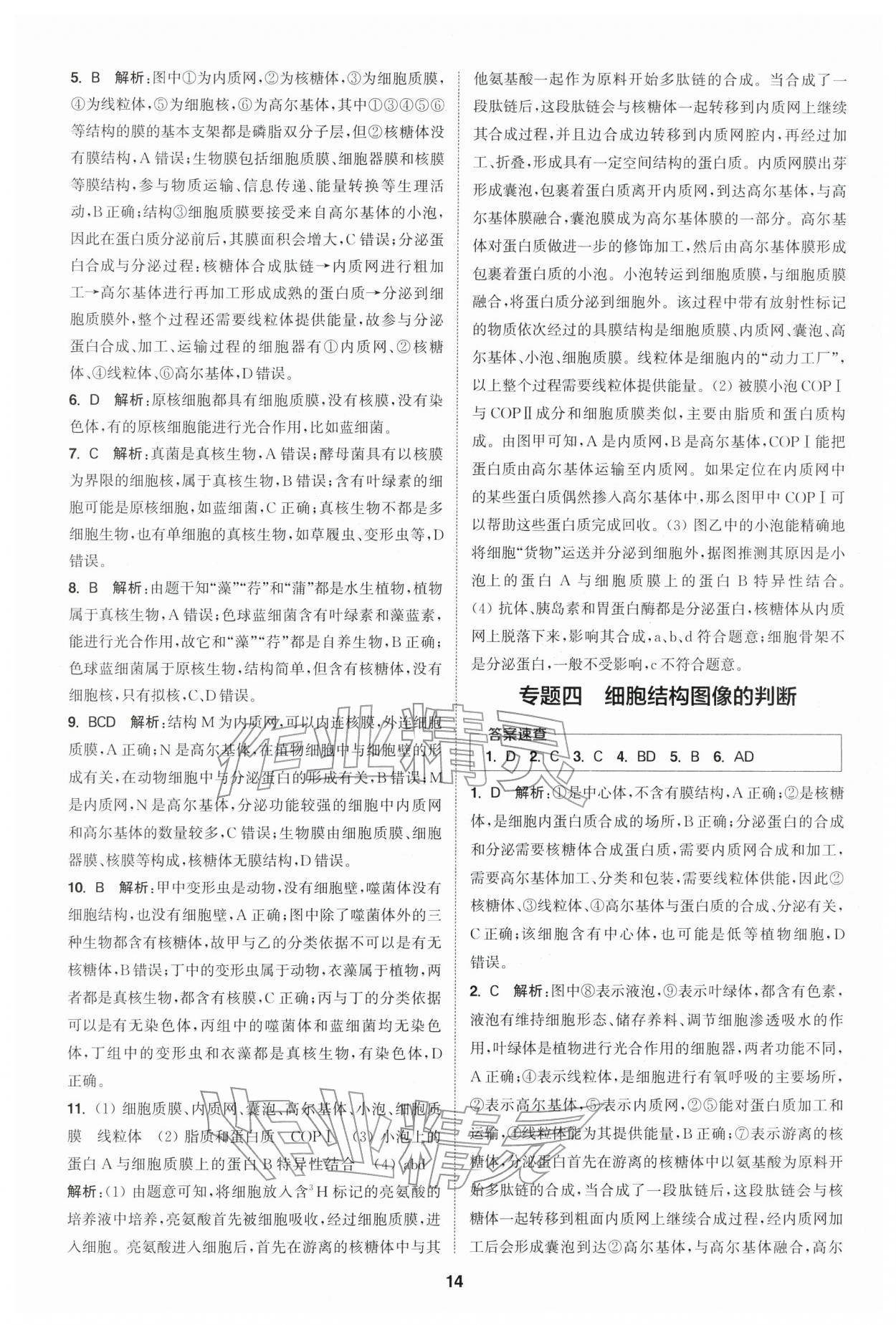 2025年通城学典课时作业本高中生物学必修1分子与细胞苏教版 第14页