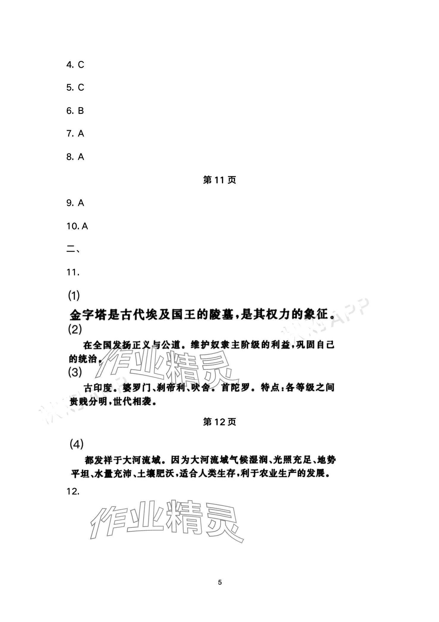 2024年智慧學(xué)習(xí)（同步學(xué)習(xí)）明天出版社九年級歷史全一冊 第5頁