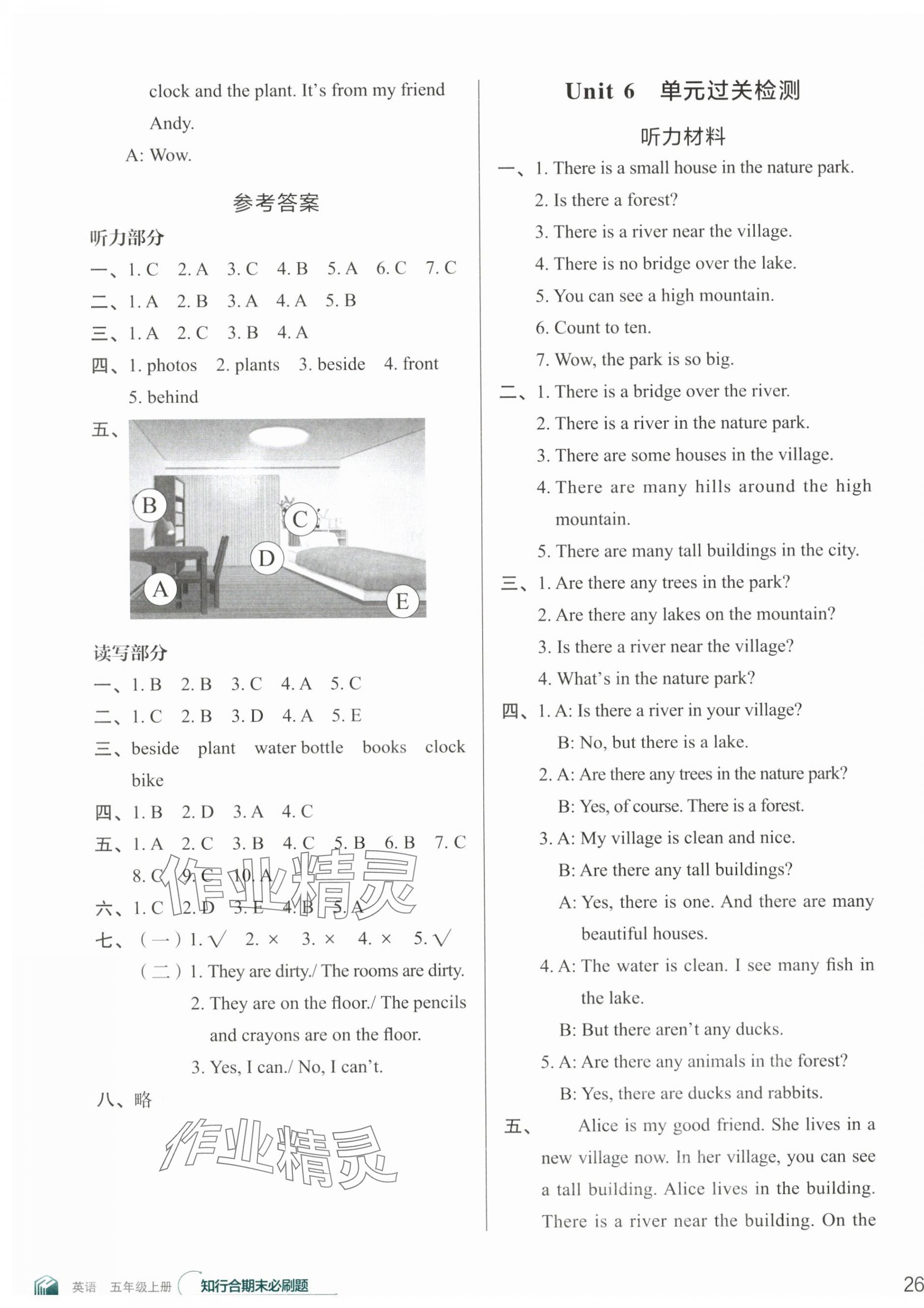 2023年知行合期末必刷題五年級英語上冊人教版 第7頁