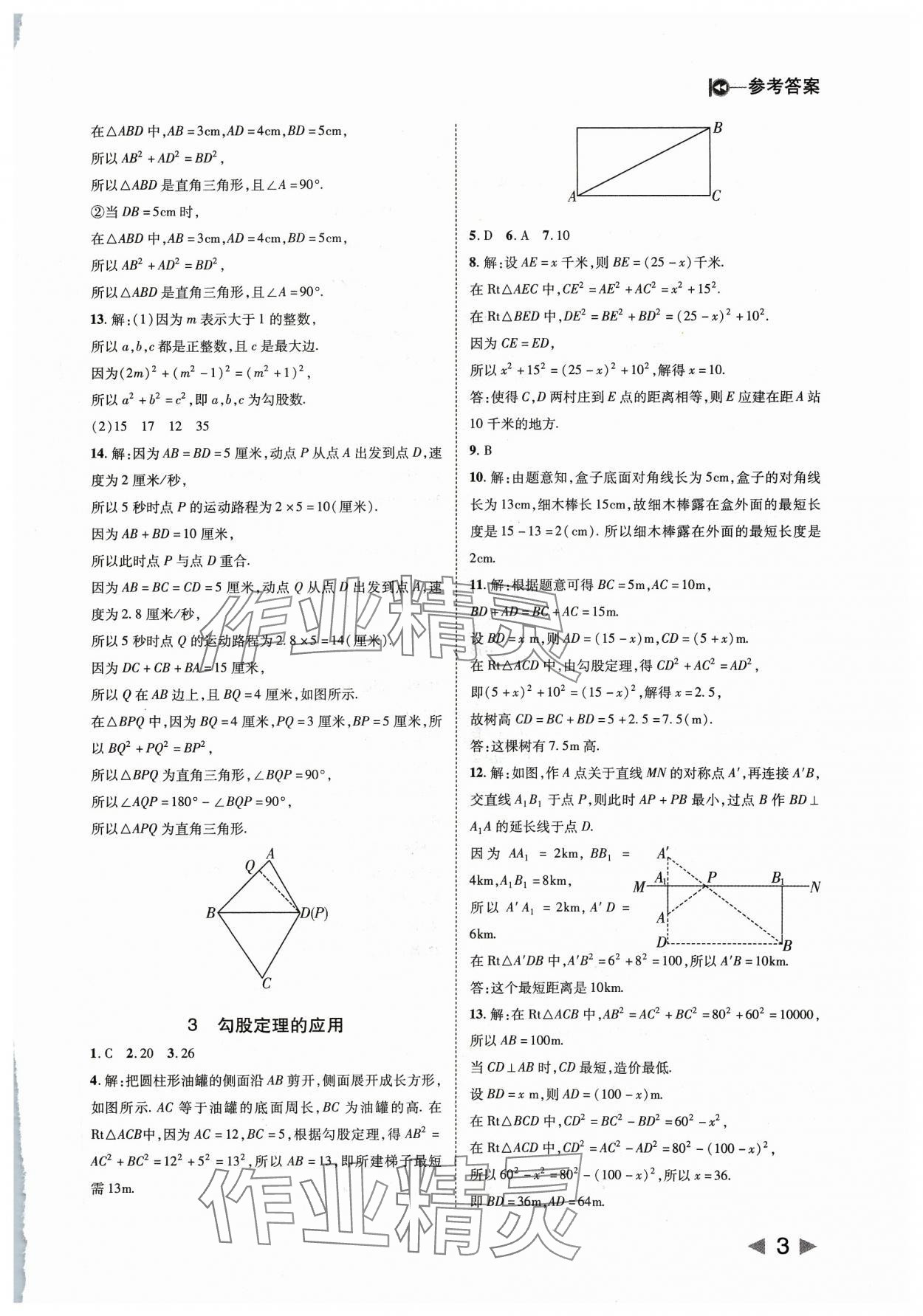 2023年勝券在握打好基礎(chǔ)作業(yè)本八年級(jí)數(shù)學(xué)上冊(cè)北師大版 第3頁