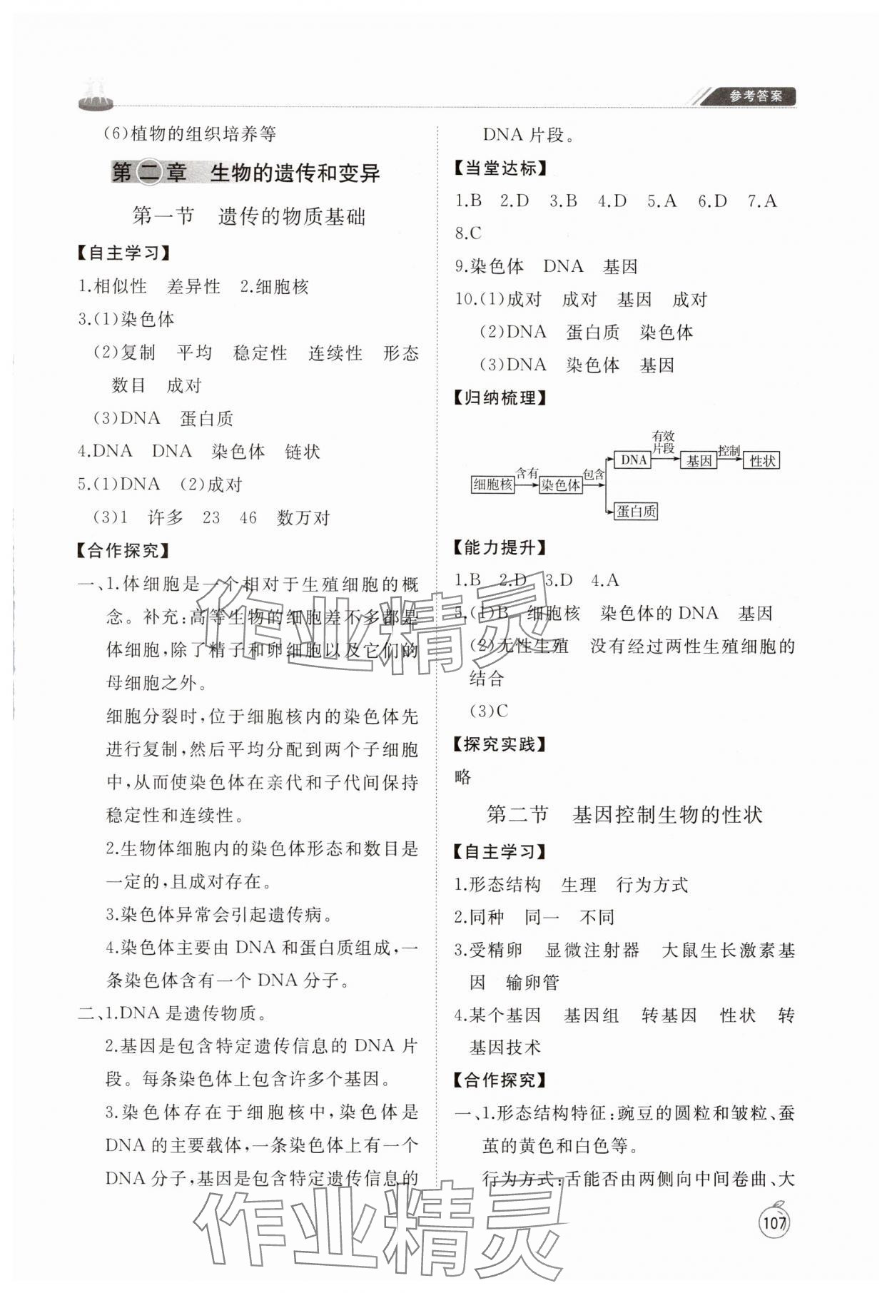 2025年同步練習冊山東友誼出版社八年級生物下冊魯科版五四制 參考答案第4頁