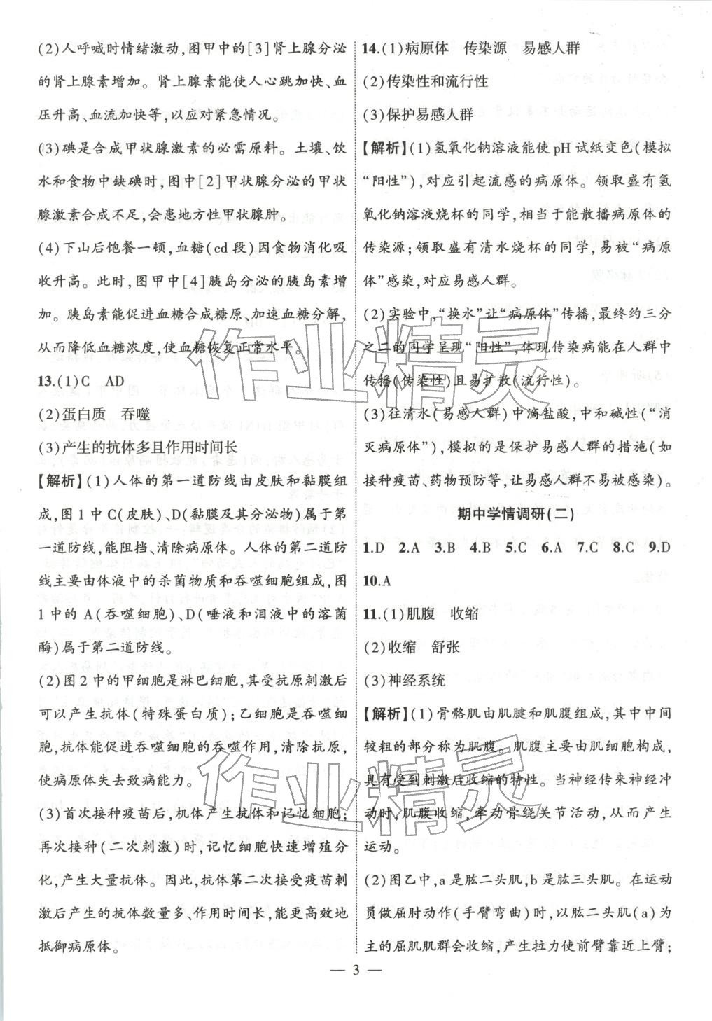 2025年大联考单元期末测试卷八年级生物上册人教版 第3页