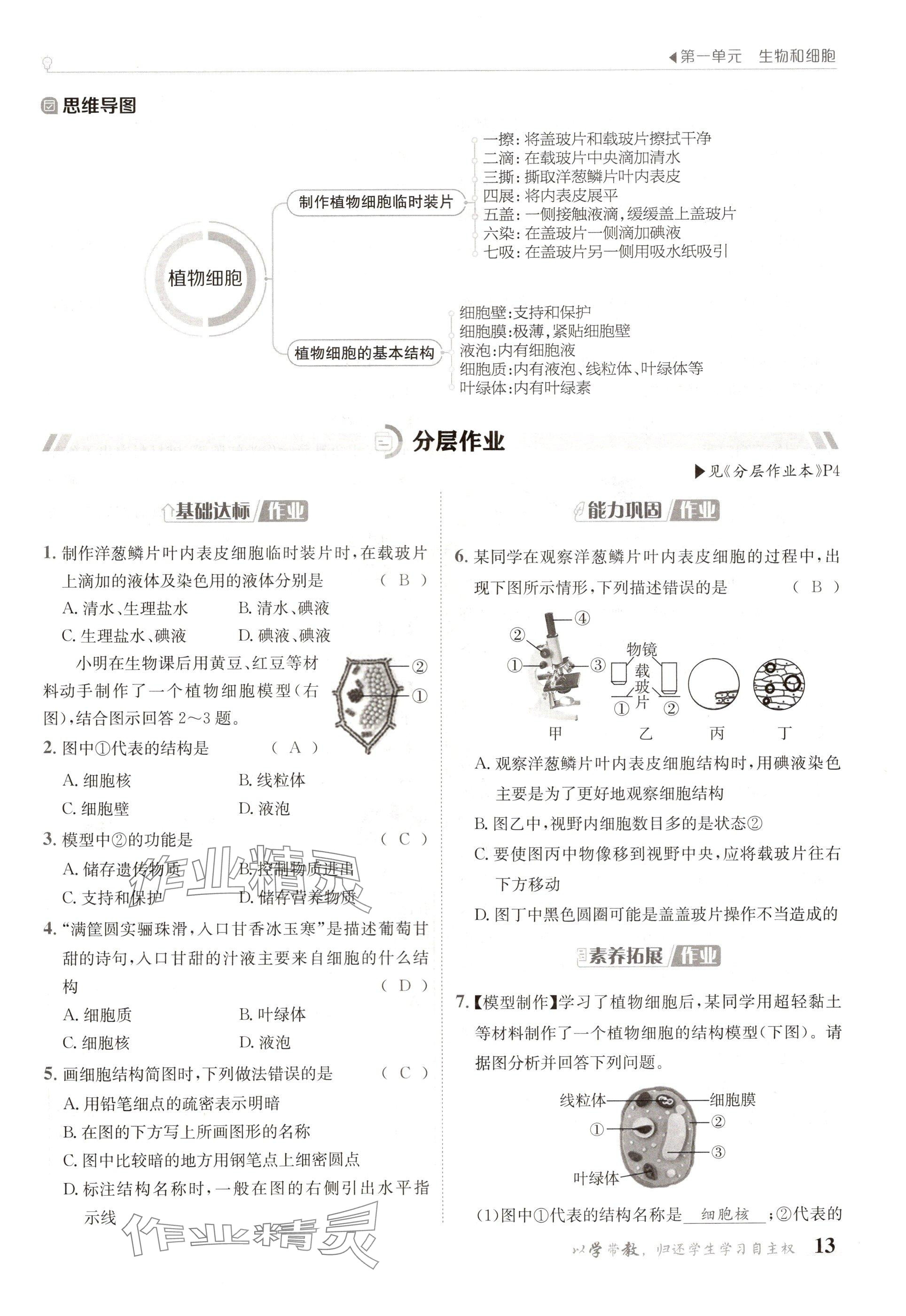 2024年金太阳导学案七年级生物上册人教版 参考答案第13页