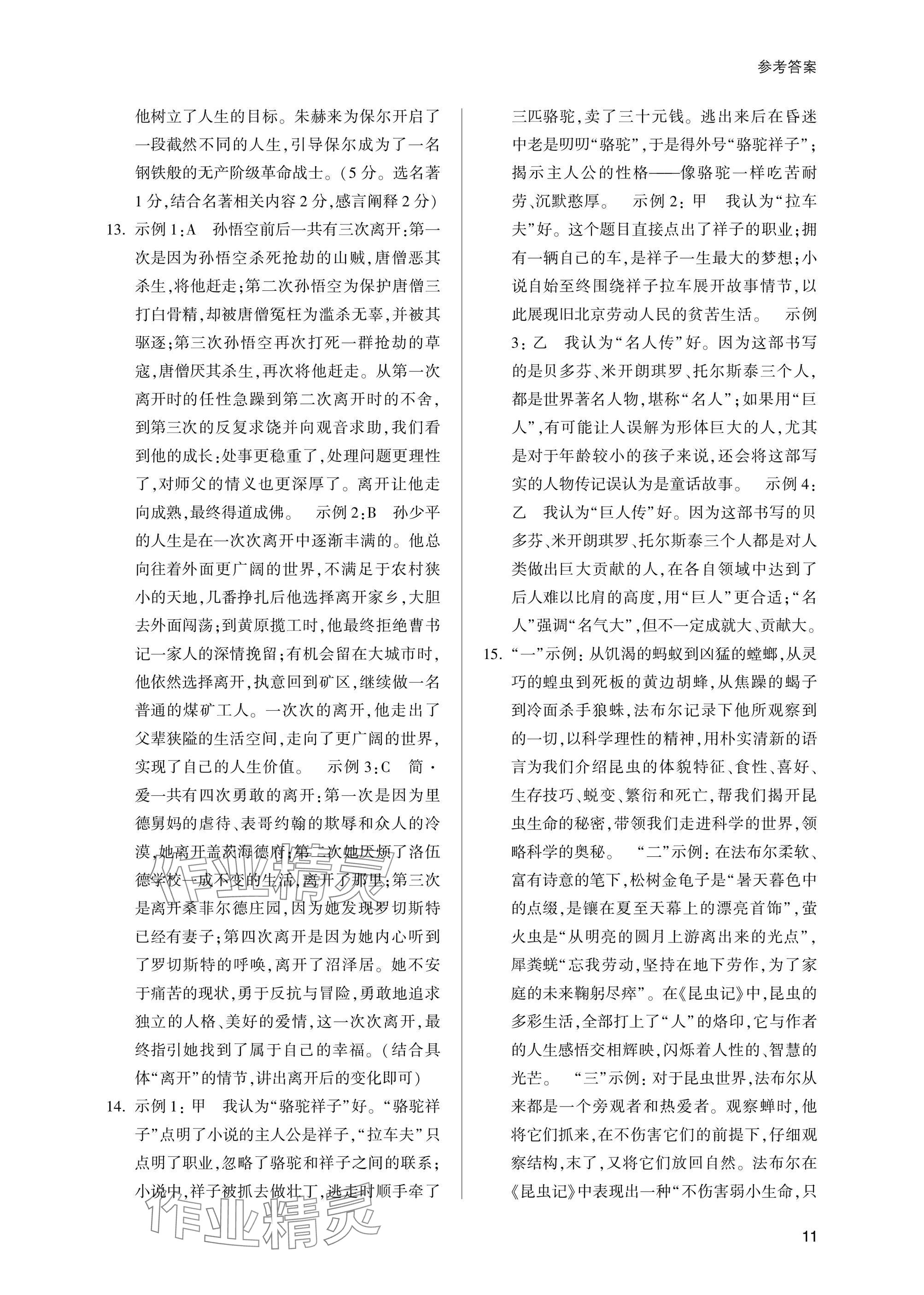 2025年乐支点初中高分冲刺语文&nbsp;参考答案第11页