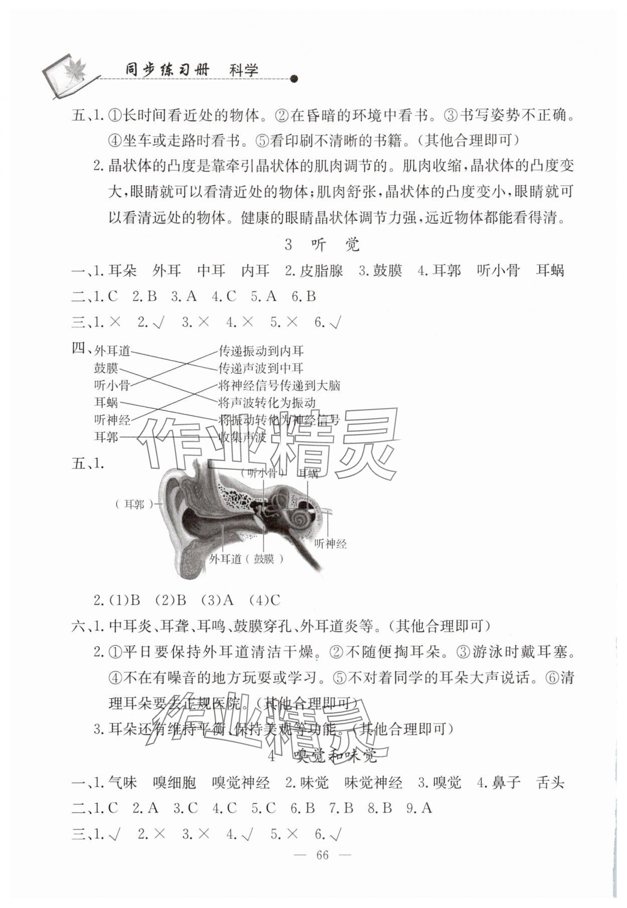 2025年同步練習(xí)冊(cè)山東科學(xué)技術(shù)出版社六年級(jí)科學(xué)下冊(cè)青島版 第2頁(yè)