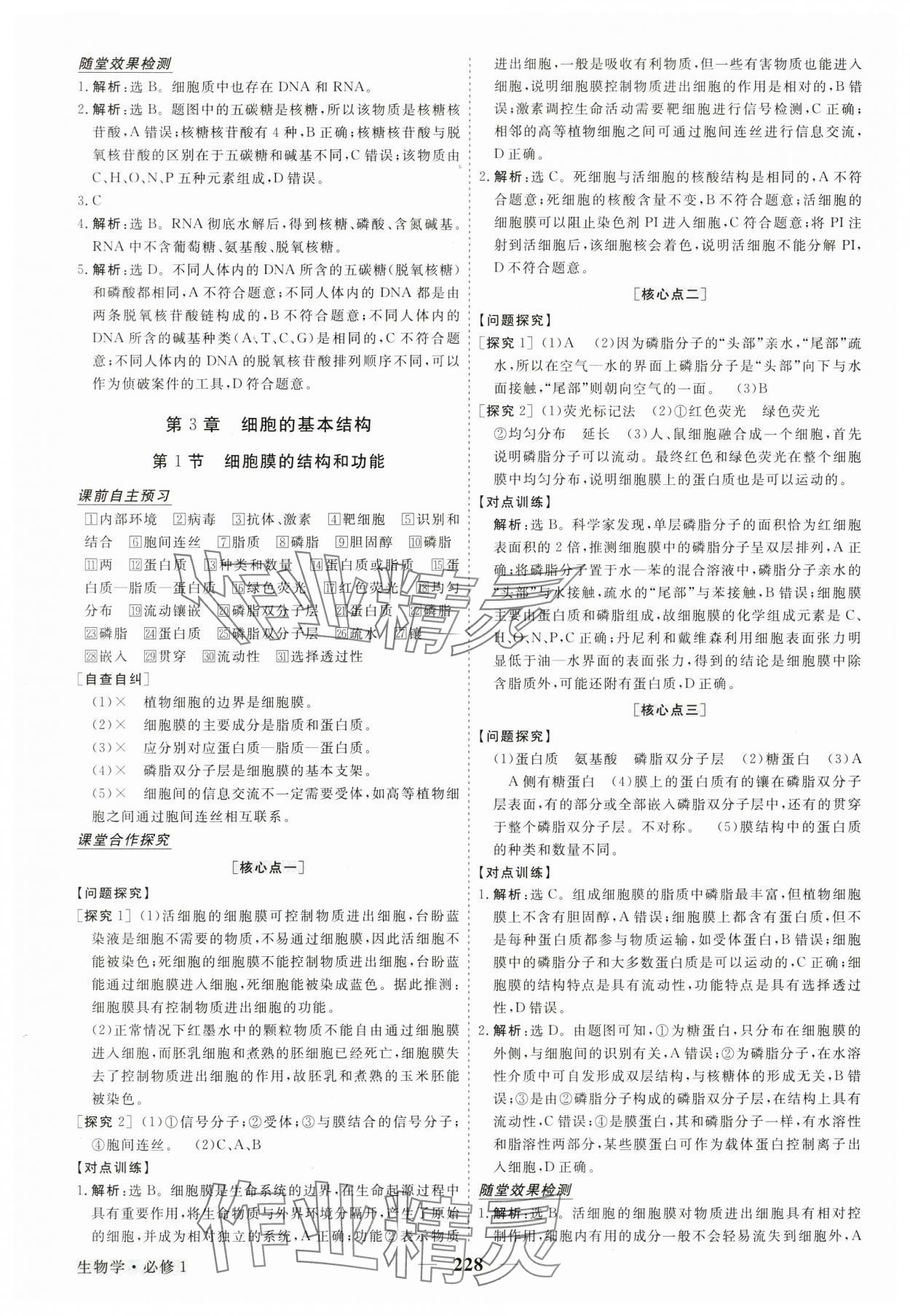 2024年高中同步創(chuàng)新課堂優(yōu)化方案高中生物必修1人教版 參考答案第7頁