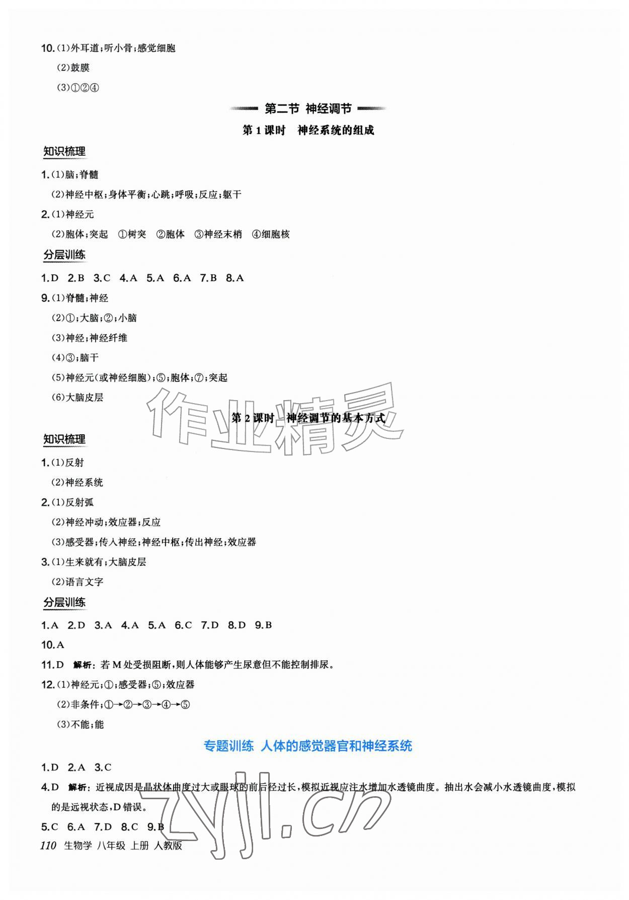2026年新编基础训练八年级生物上册人教版&nbsp;第2页