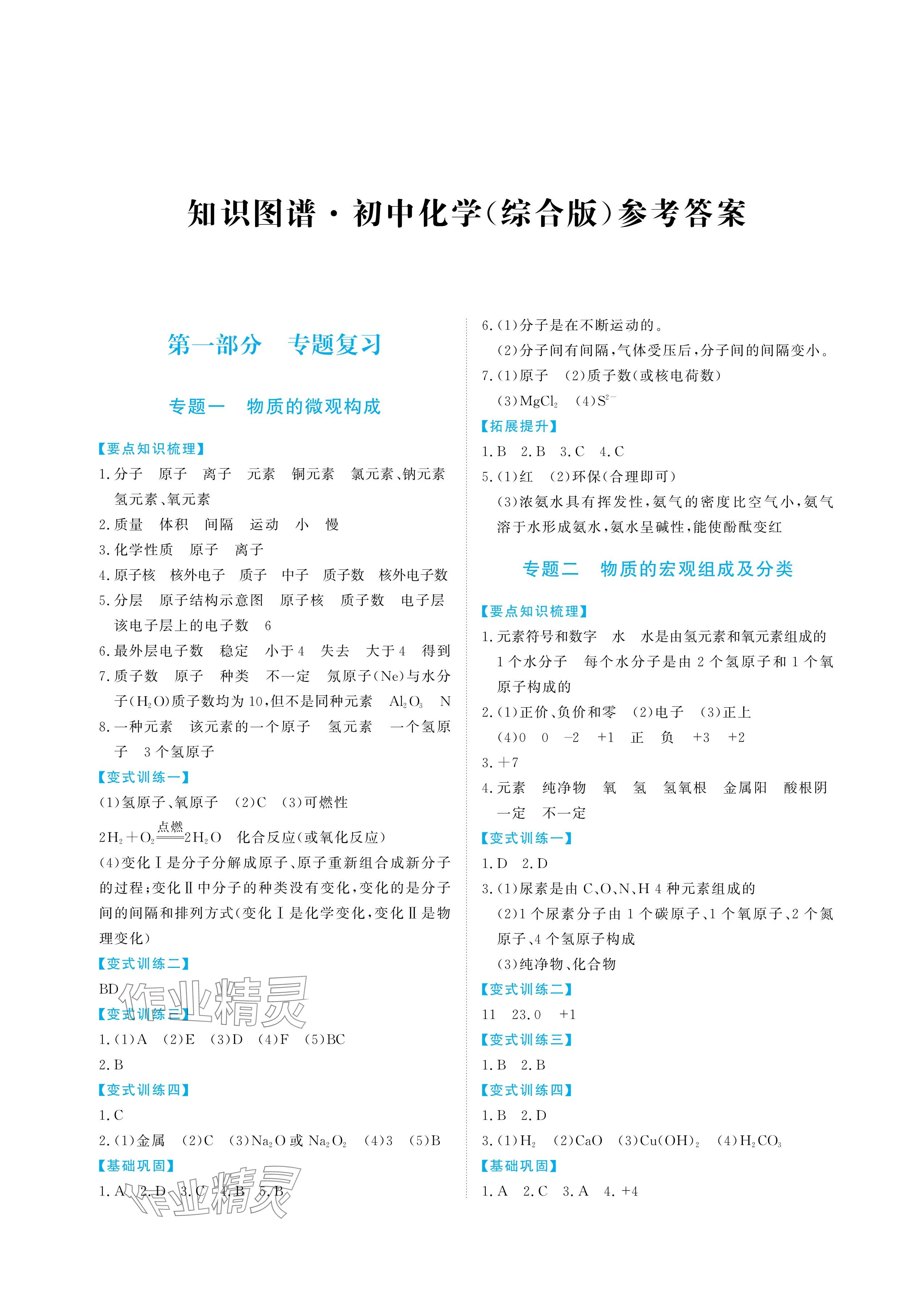 2025年知識圖譜初中化學綜合版 參考答案第1頁