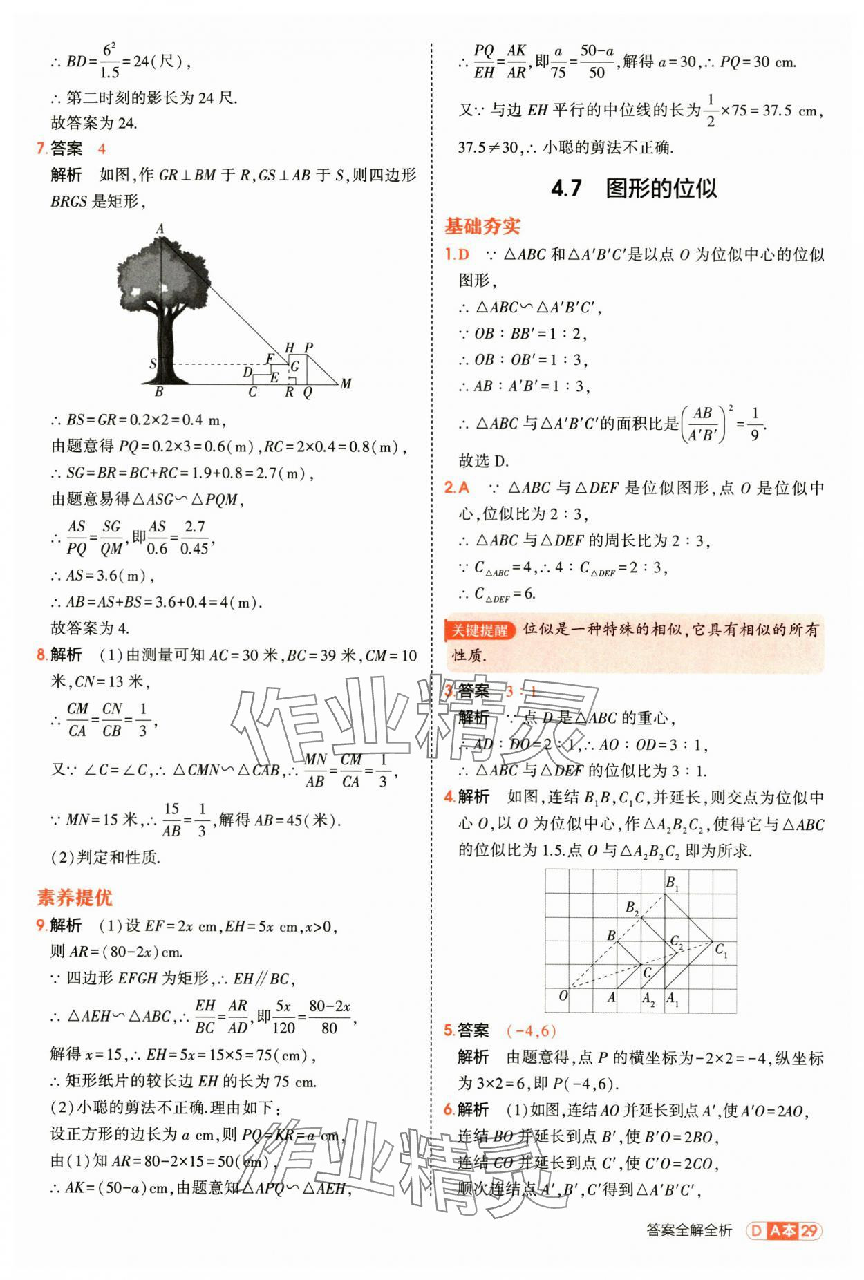 2025年5年中考3年模拟九年级数学全一册浙教版 第29页