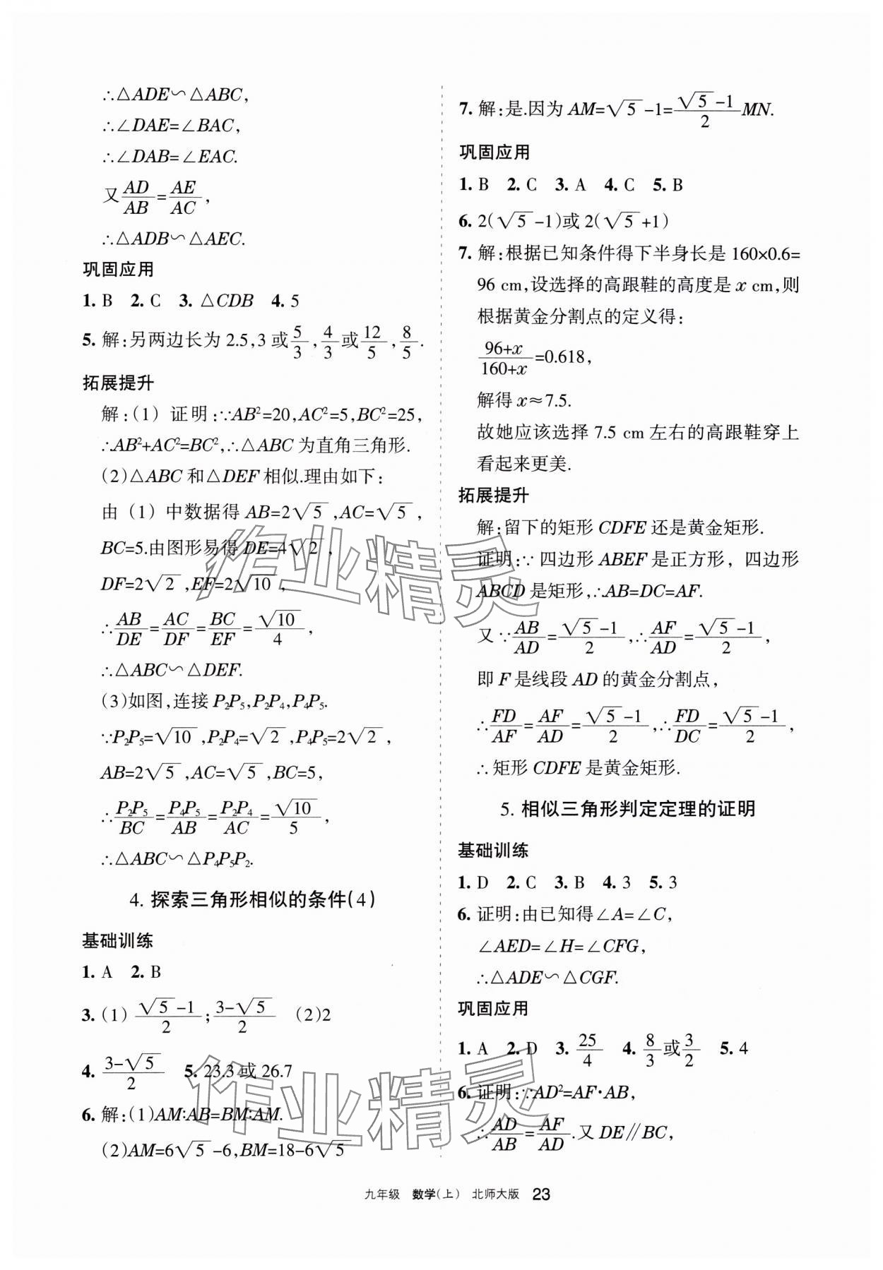 2023年學(xué)習(xí)之友九年級數(shù)學(xué)上冊北師大版 參考答案第23頁