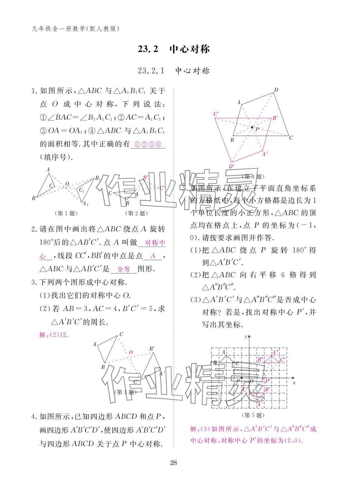 2025年作业本江西教育出版社九年级数学全一册人教版 参考答案第28页