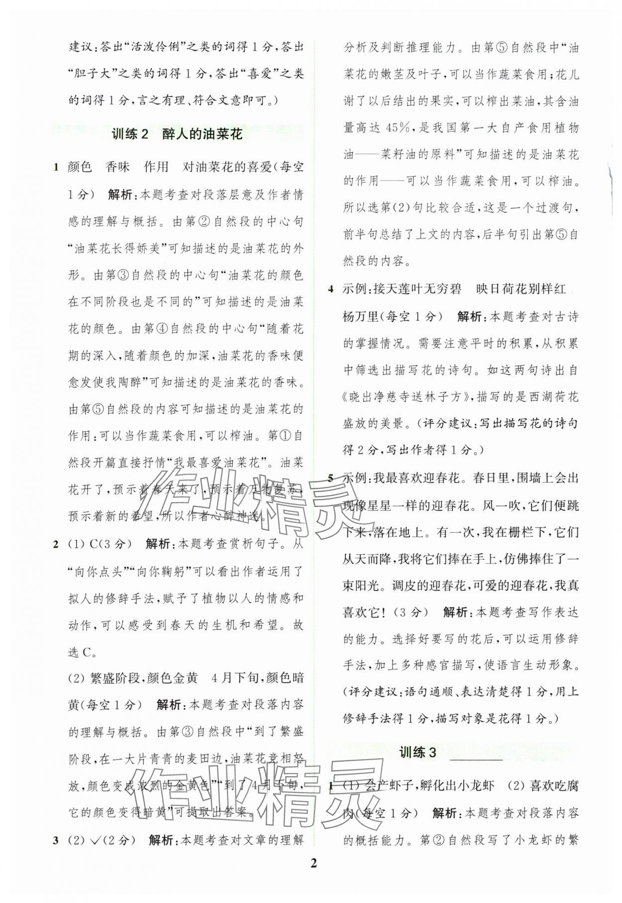 2025年通城學(xué)典組合訓(xùn)練三年級語文下冊人教版江蘇專版 第2頁