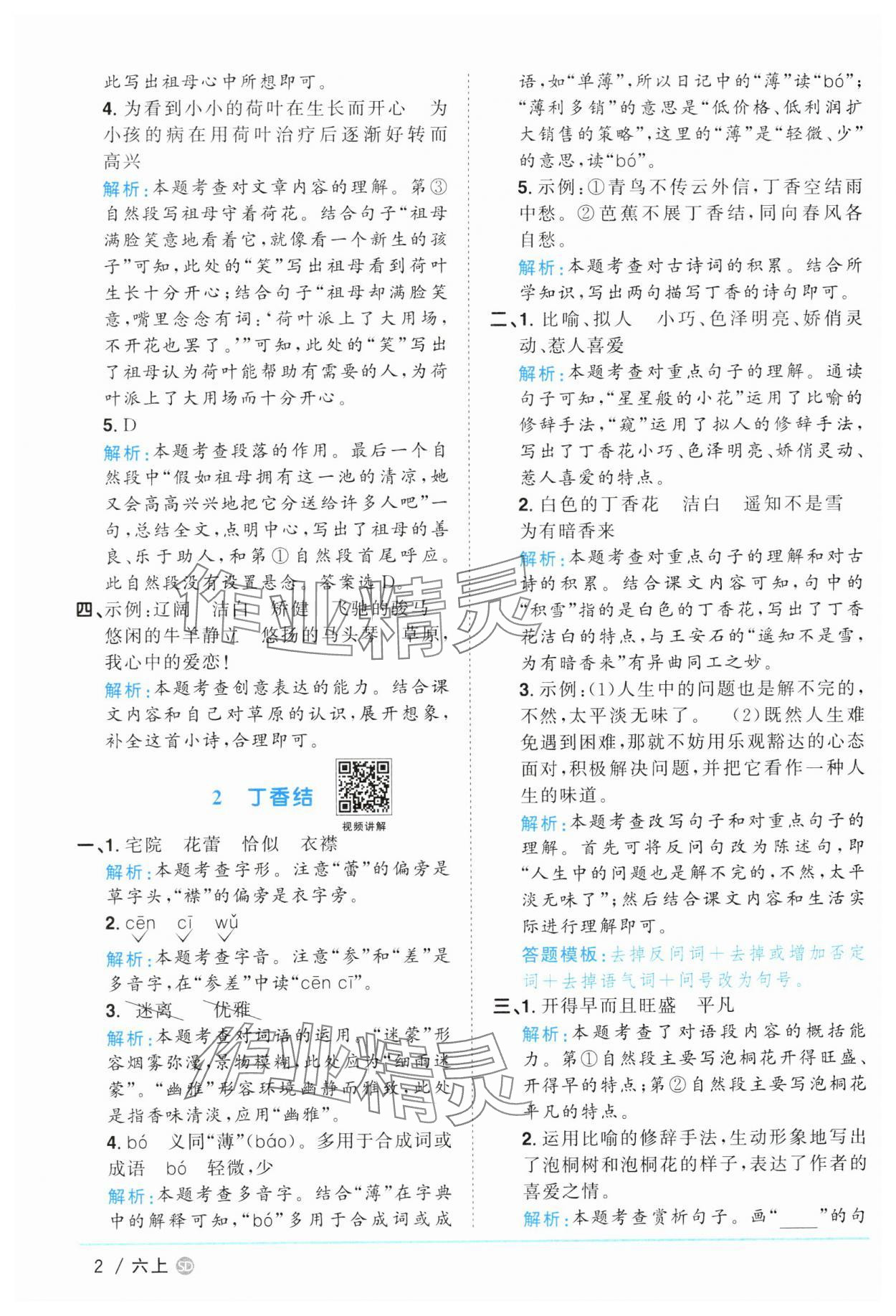 2024年陽光同學(xué)課時優(yōu)化作業(yè)六年級語文上冊人教版菏澤專版 參考答案第2頁