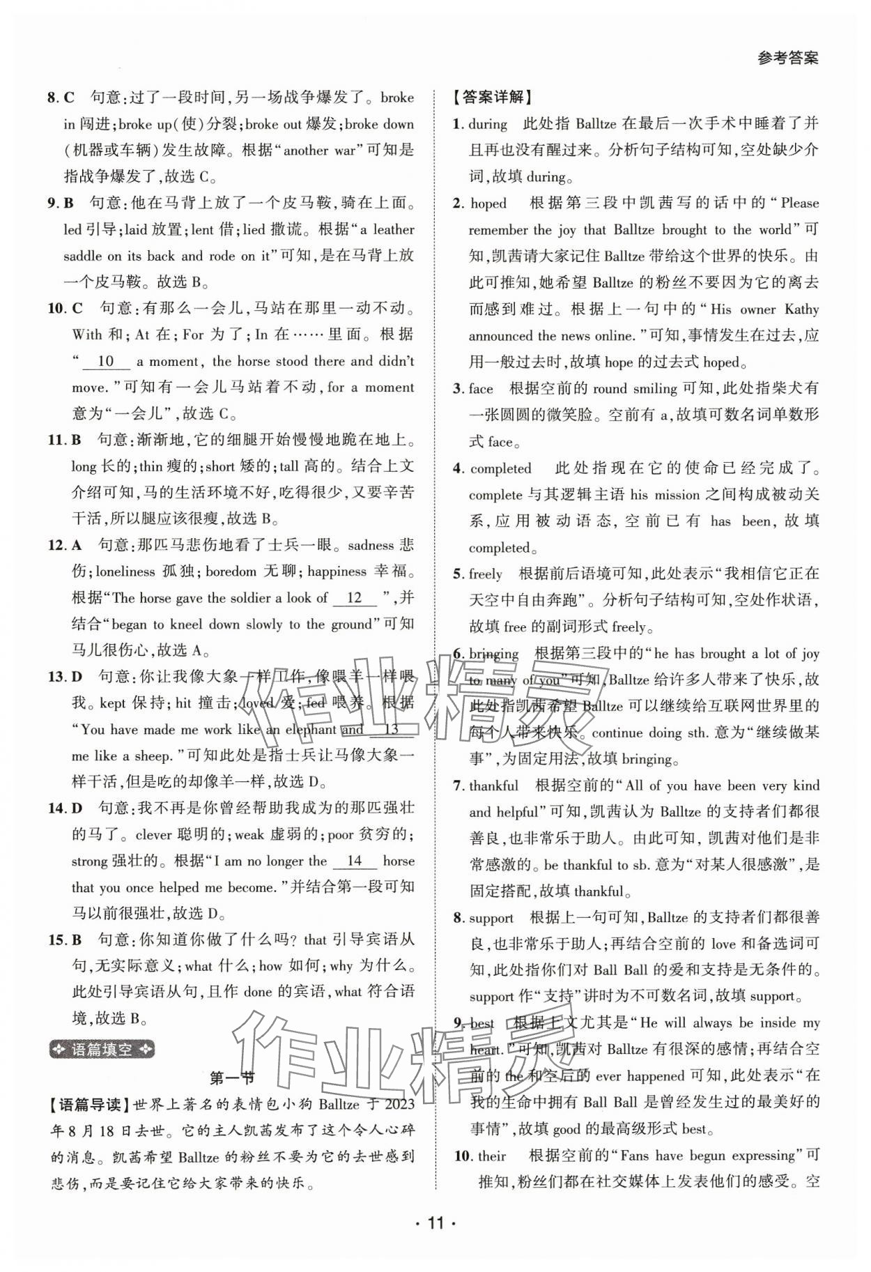 2025年阅读拉网训练九年级英语人教版&nbsp;第11页