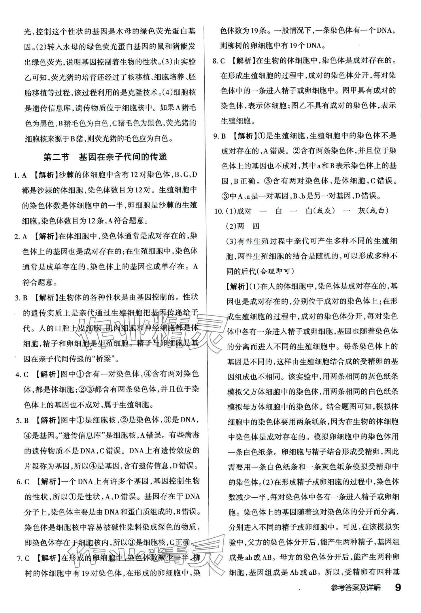 2024年滿(mǎn)分訓(xùn)練設(shè)計(jì)八年級(jí)生物下冊(cè)人教版 第8頁(yè)