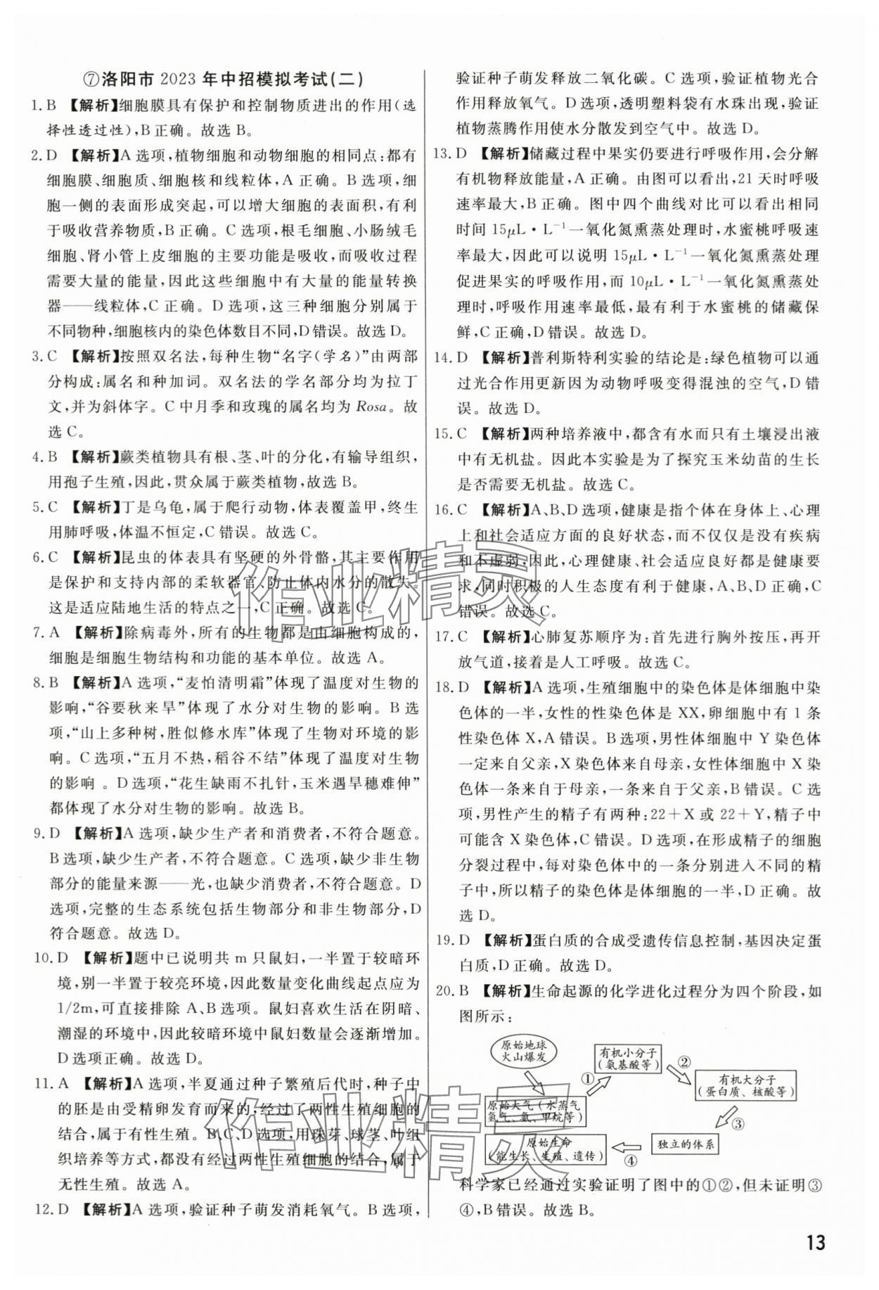 2024年新一線必刷卷生物河南專版 第13頁