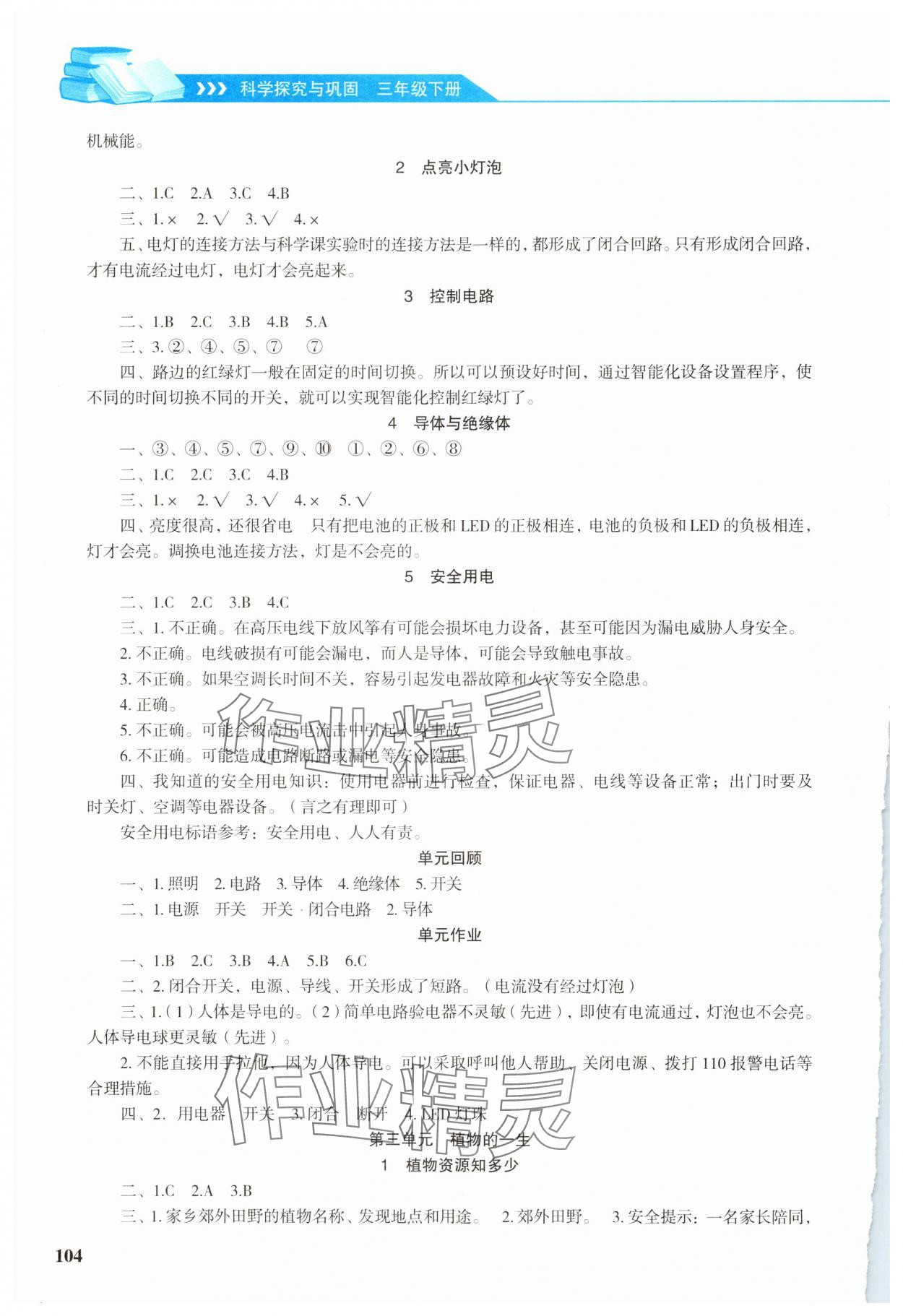 2025年科学探究与巩固三年级下册大象版 第2页