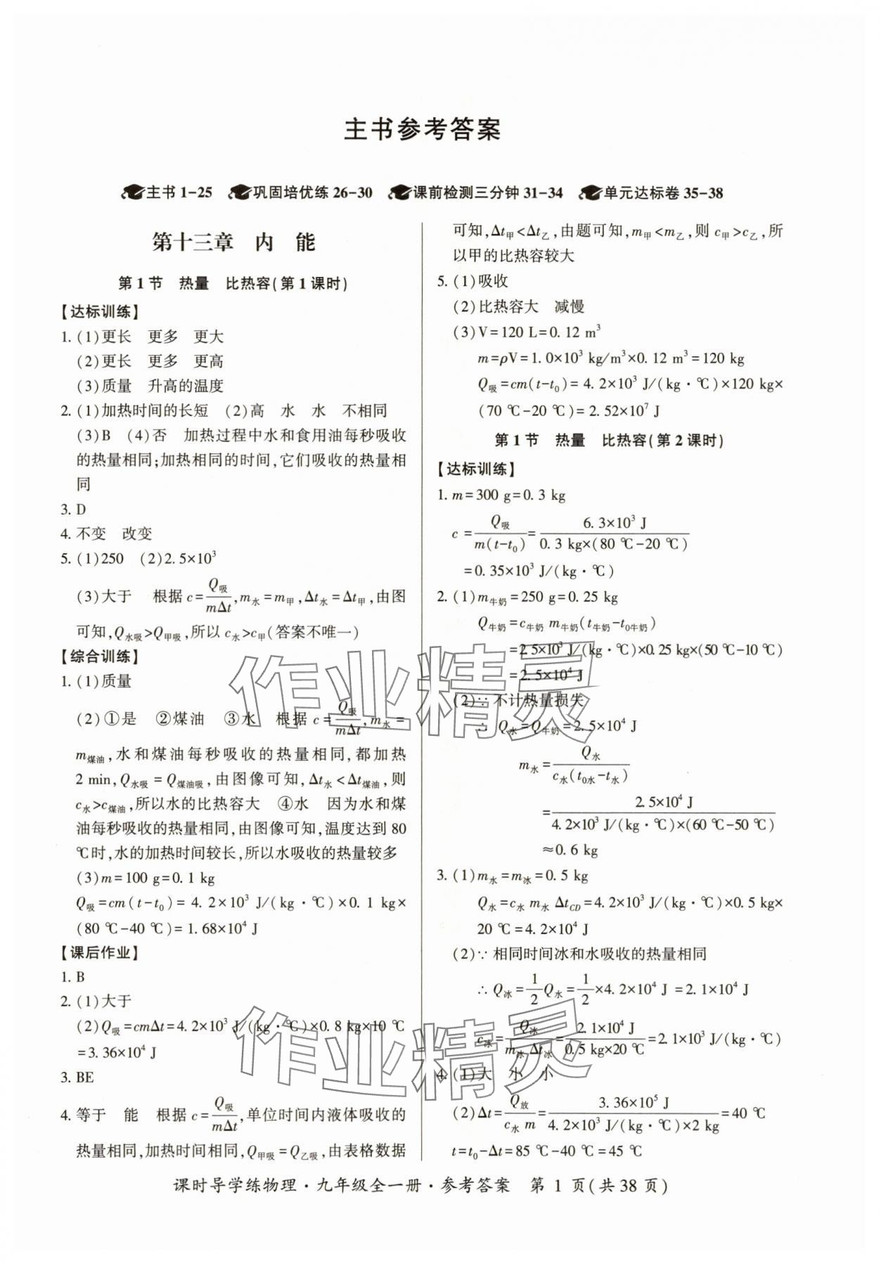 2025年课时导学练九年级物理全一册人教版 参考答案第1页