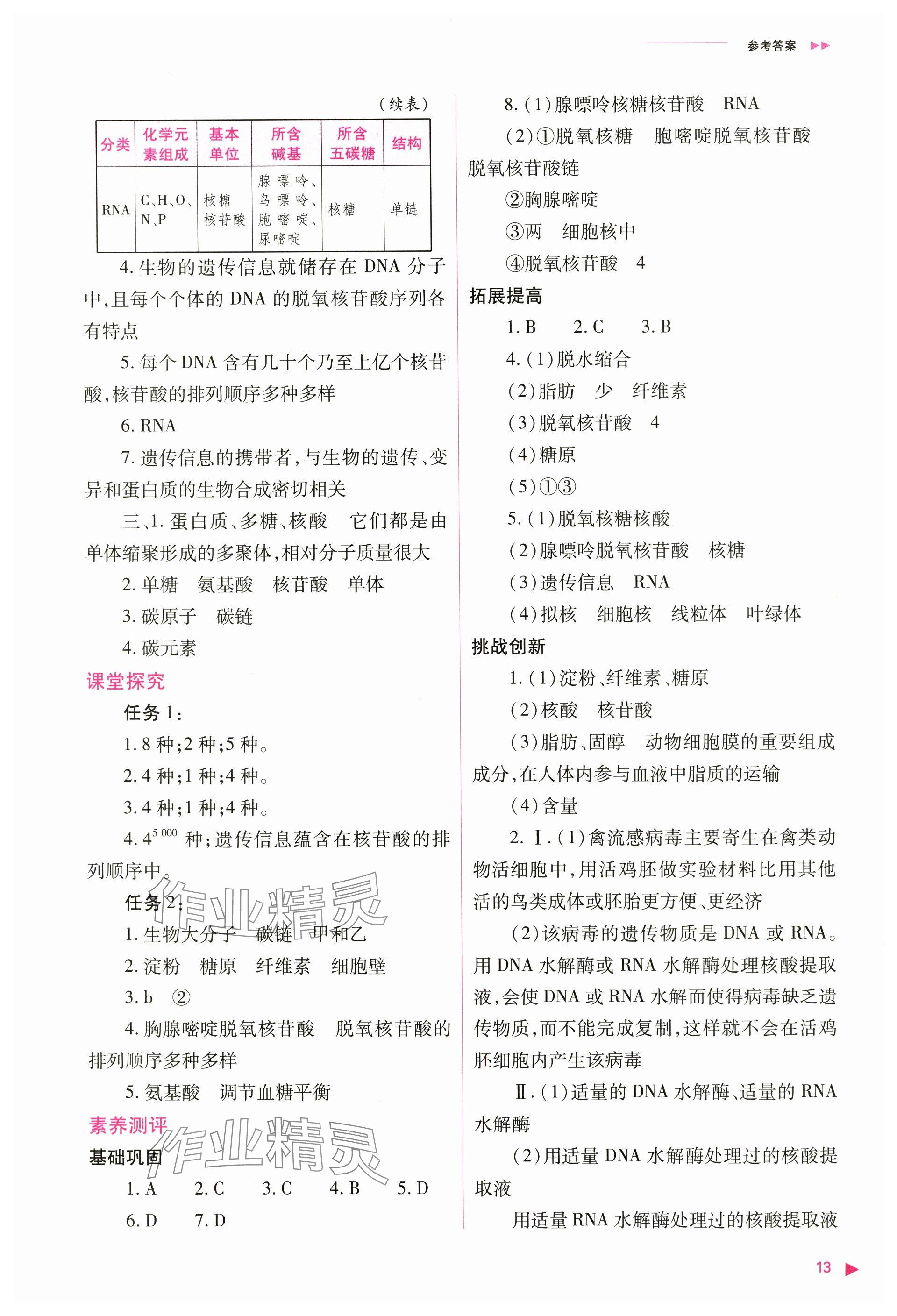 2024年普通高中新课程同步练习册高中生物必修1人教版 参考答案第13页