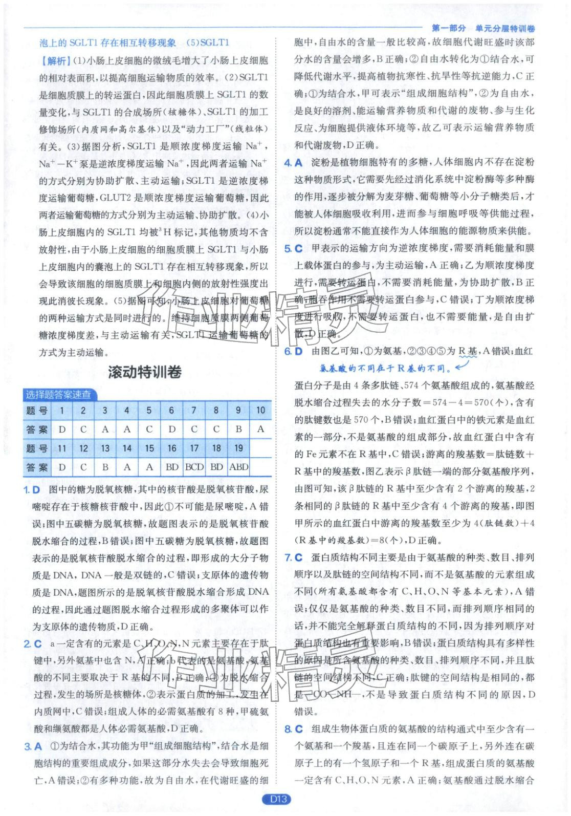 2026年實(shí)驗(yàn)班全優(yōu)檢測(cè)卷高中生物必修第一冊(cè)蘇教版&nbsp;第13頁(yè)