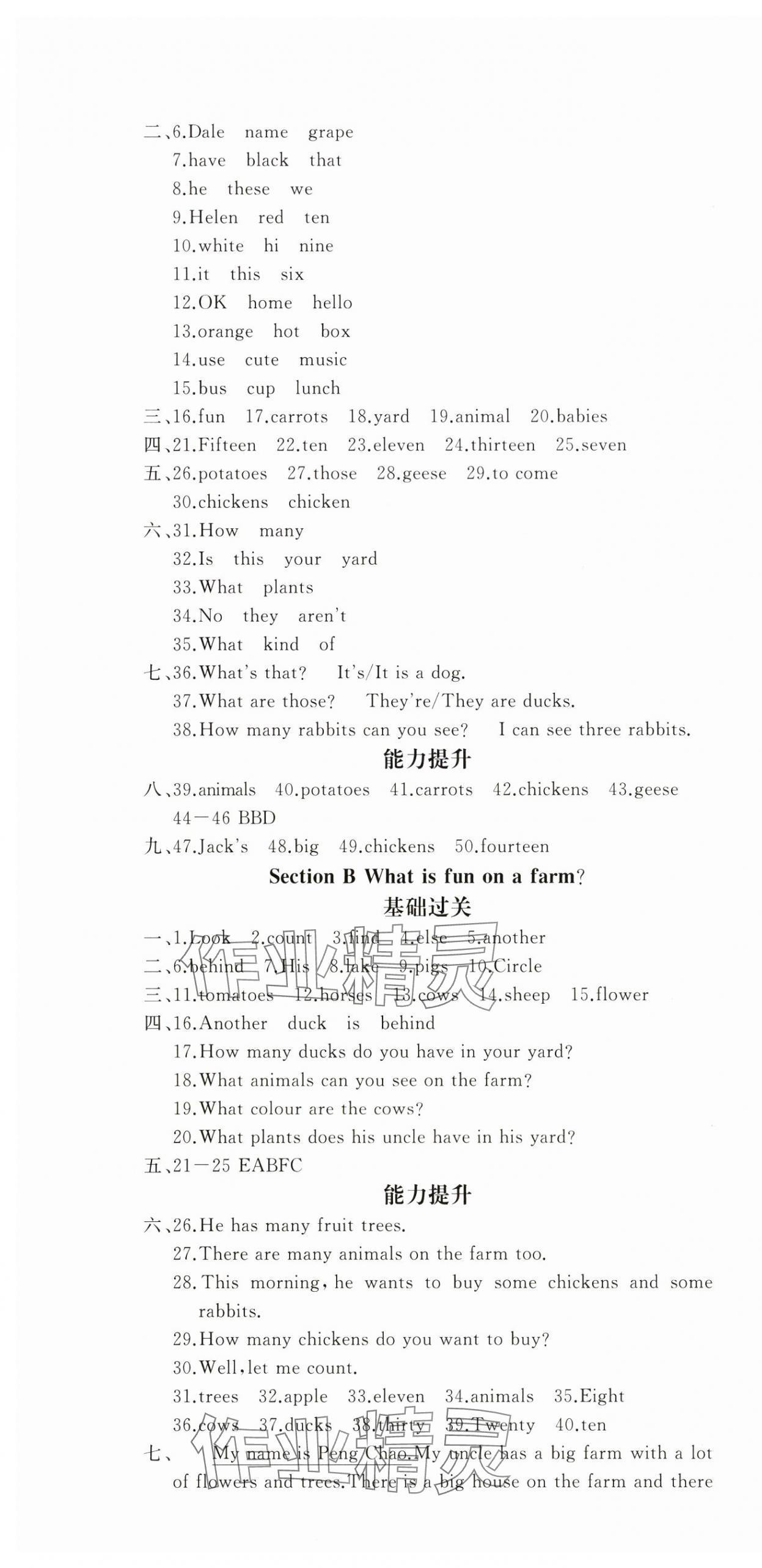 2025年思維新觀察七年級英語上冊人教版 第4頁