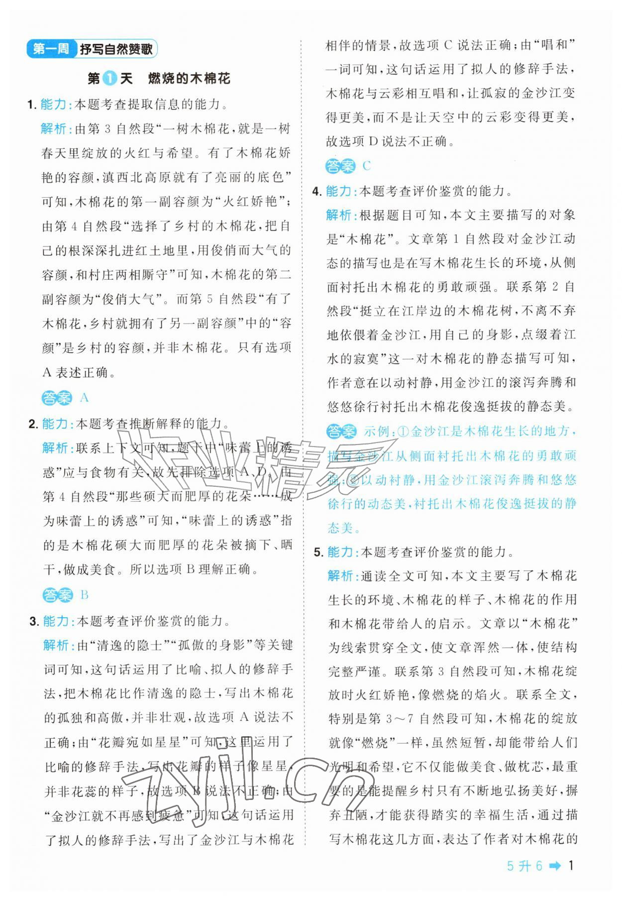 2026年阳光同学暑假阅读五年级语文&nbsp;第1页