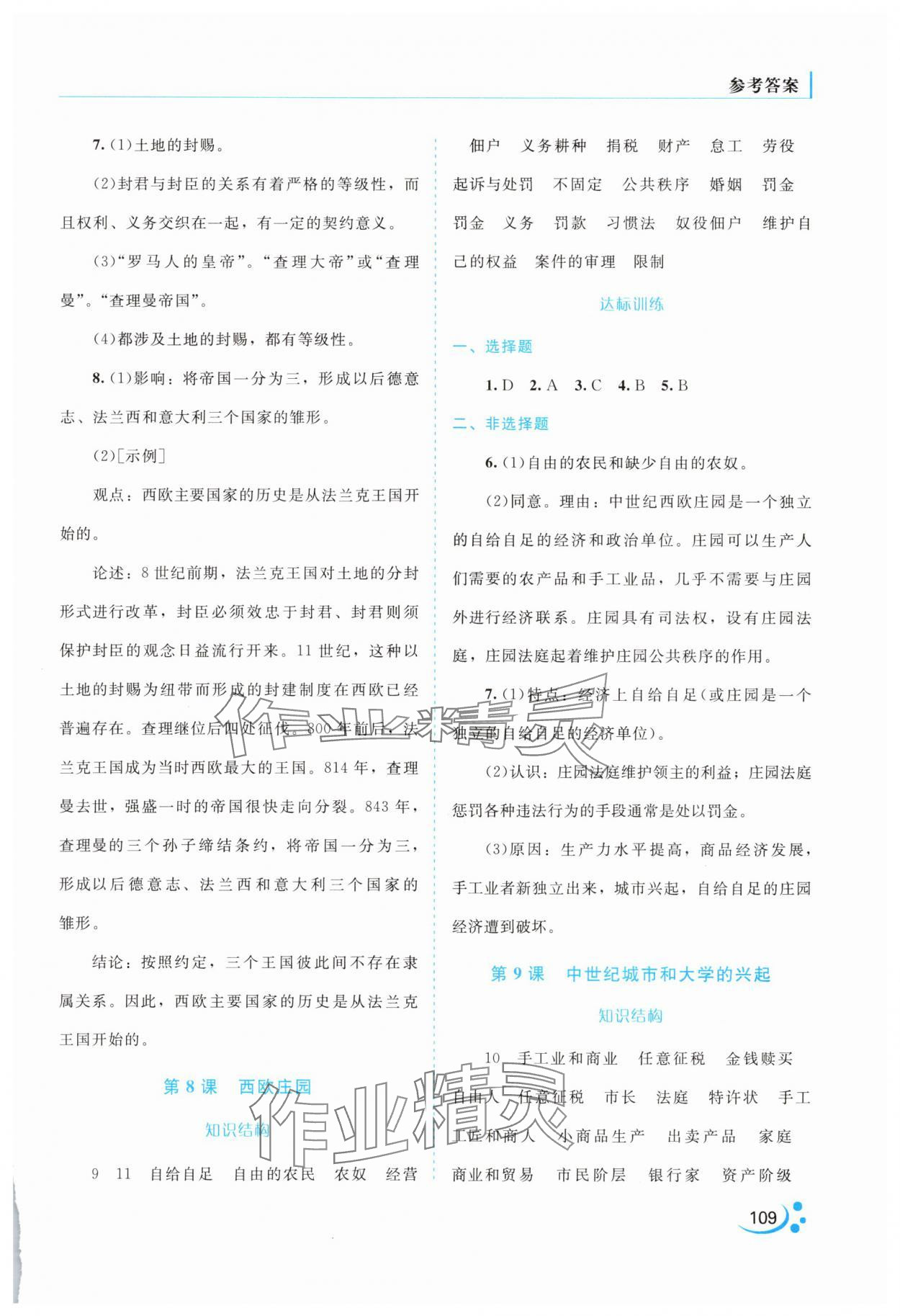 2025年新课程复习与提高九年级历史上册人教版 第5页