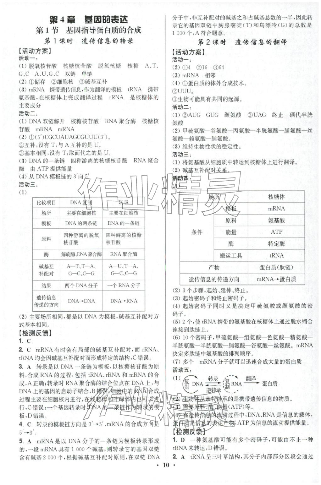 2025年活动单导学课程高中生物必修第二册人教版&nbsp;第10页
