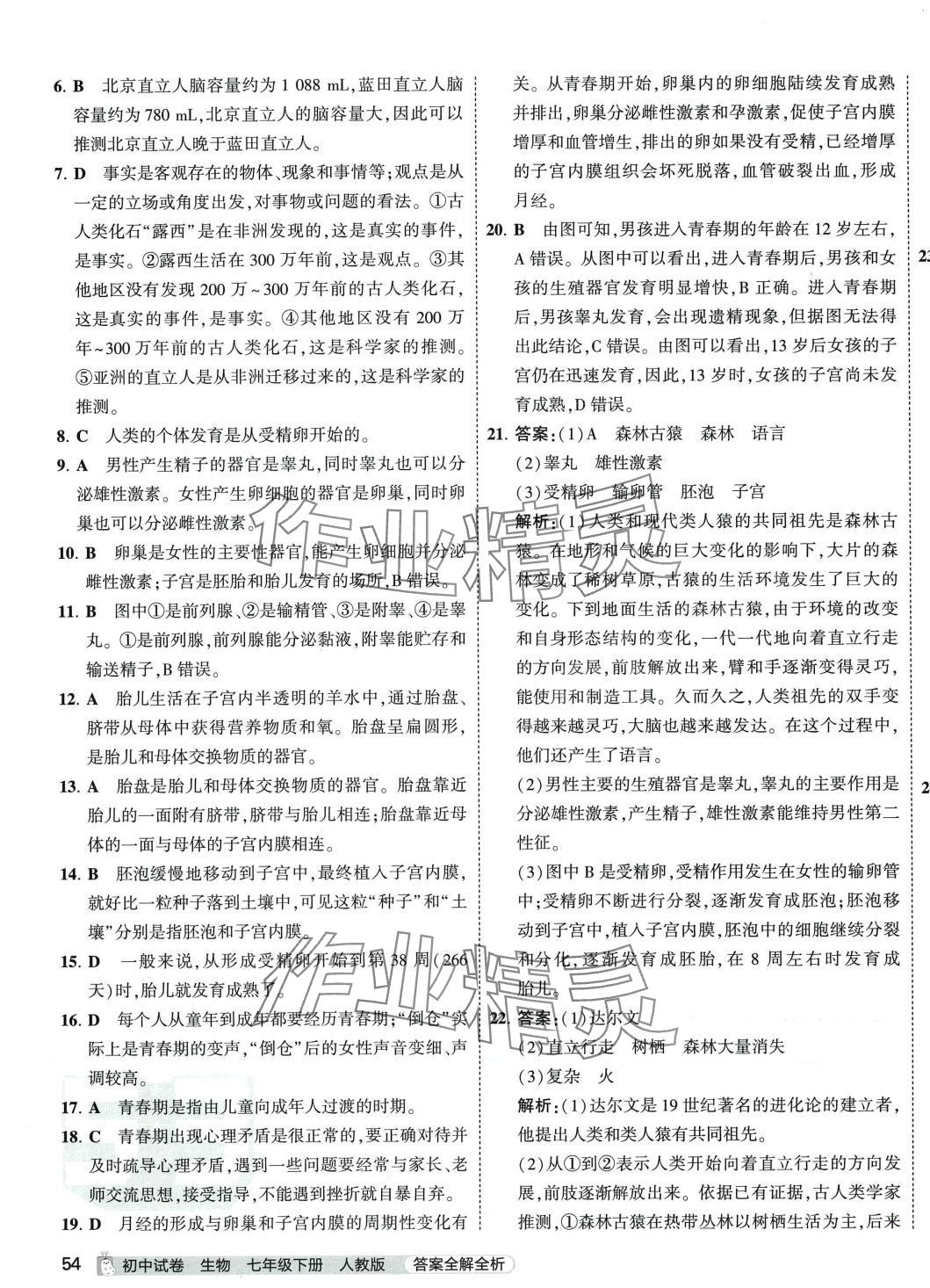 2024年5年中考3年模擬初中試卷七年級(jí)生物下冊(cè)人教版 第3頁