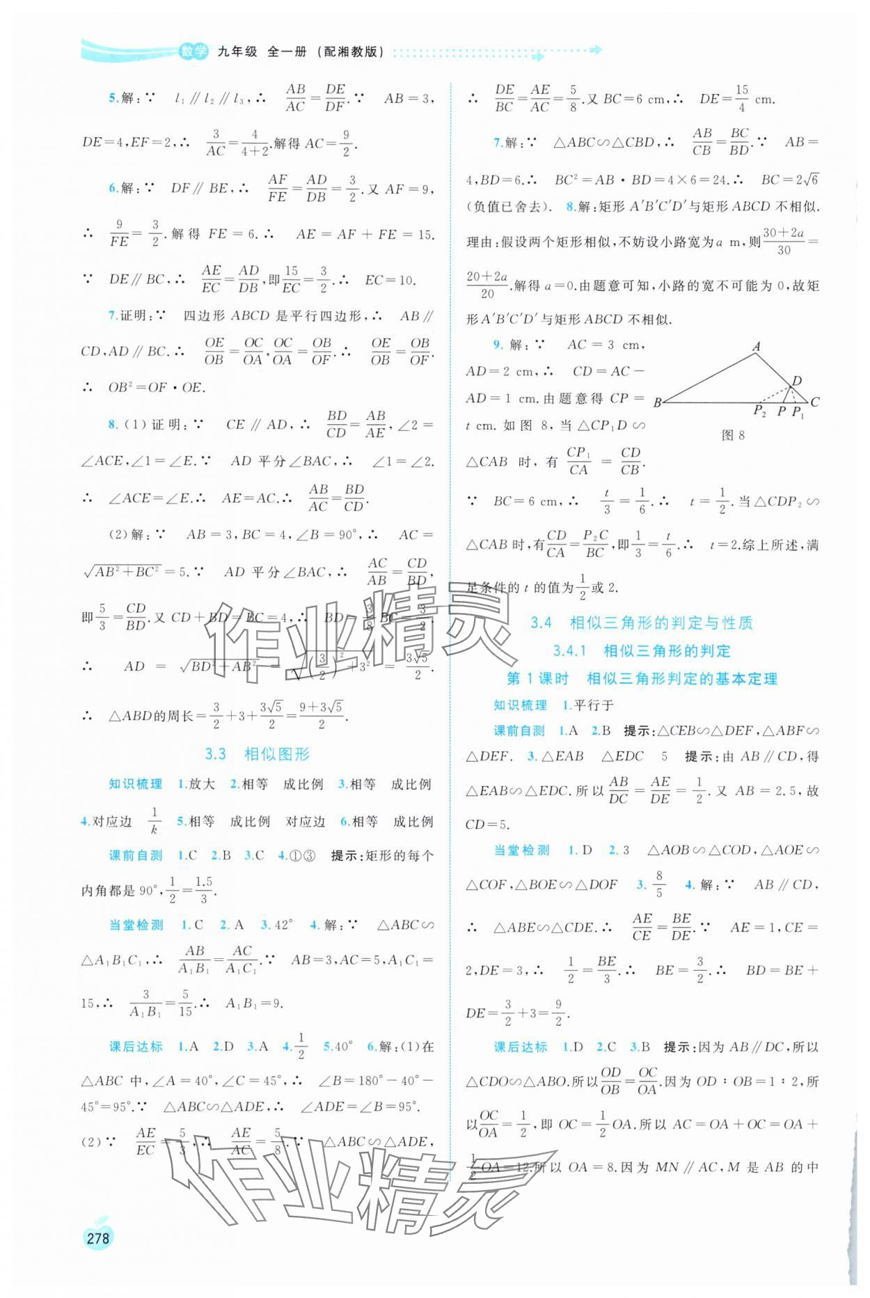 2025年新课程学习与测评同步学习九年级数学全一册湘教版 第10页
