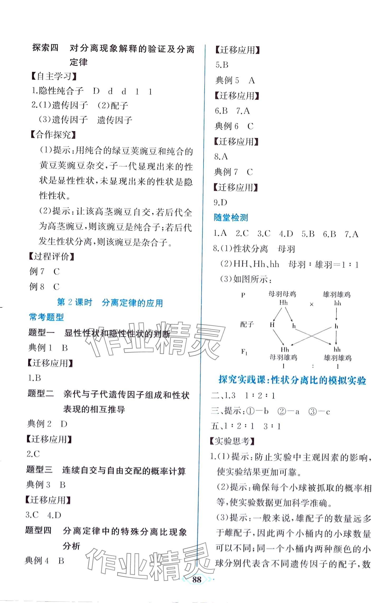 2024年課時(shí)練新課程學(xué)習(xí)評(píng)價(jià)方案高中生物必修2 第2頁(yè)